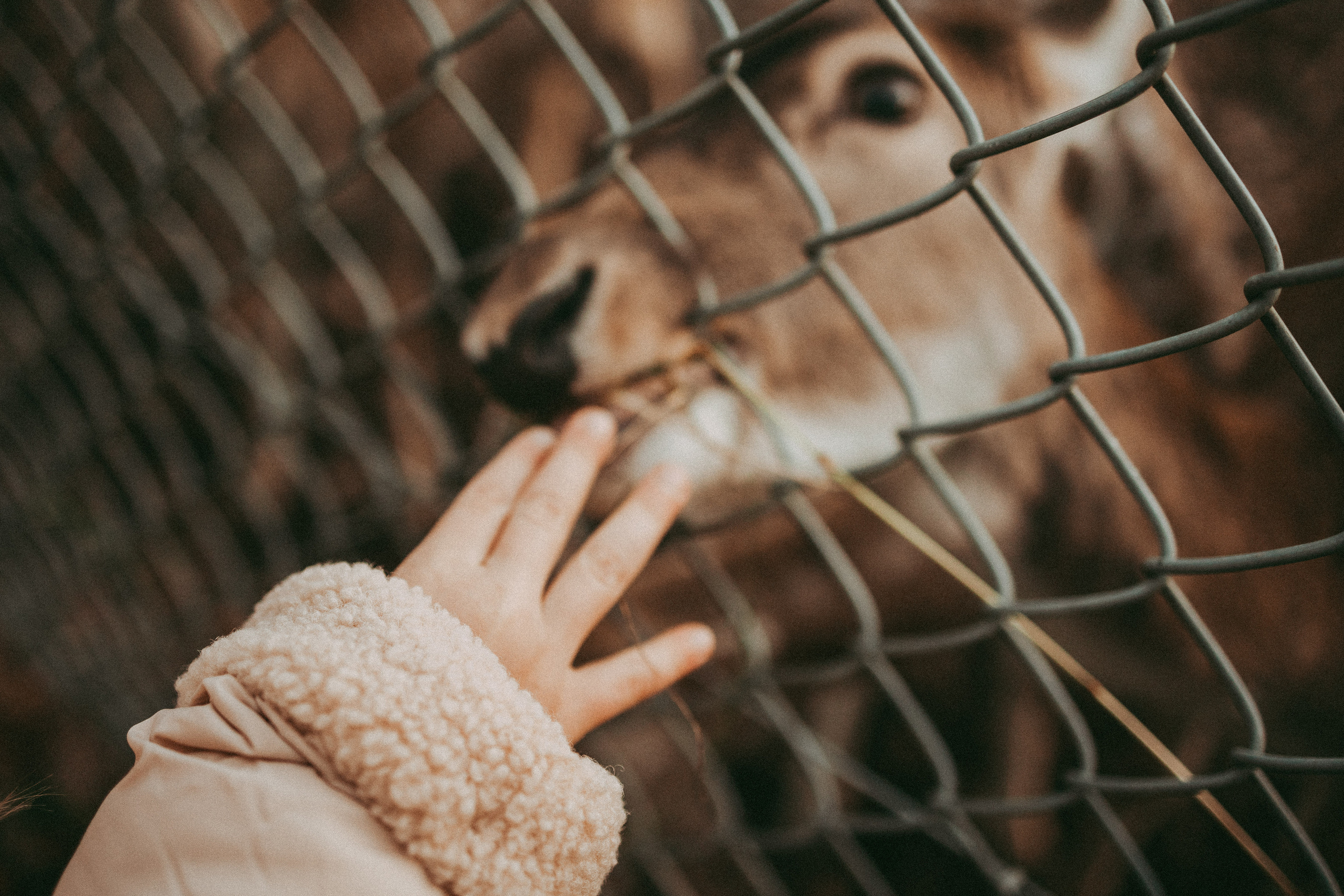 FAMILLE. Семейный фотограф во Франции (Мец, Люксембург)