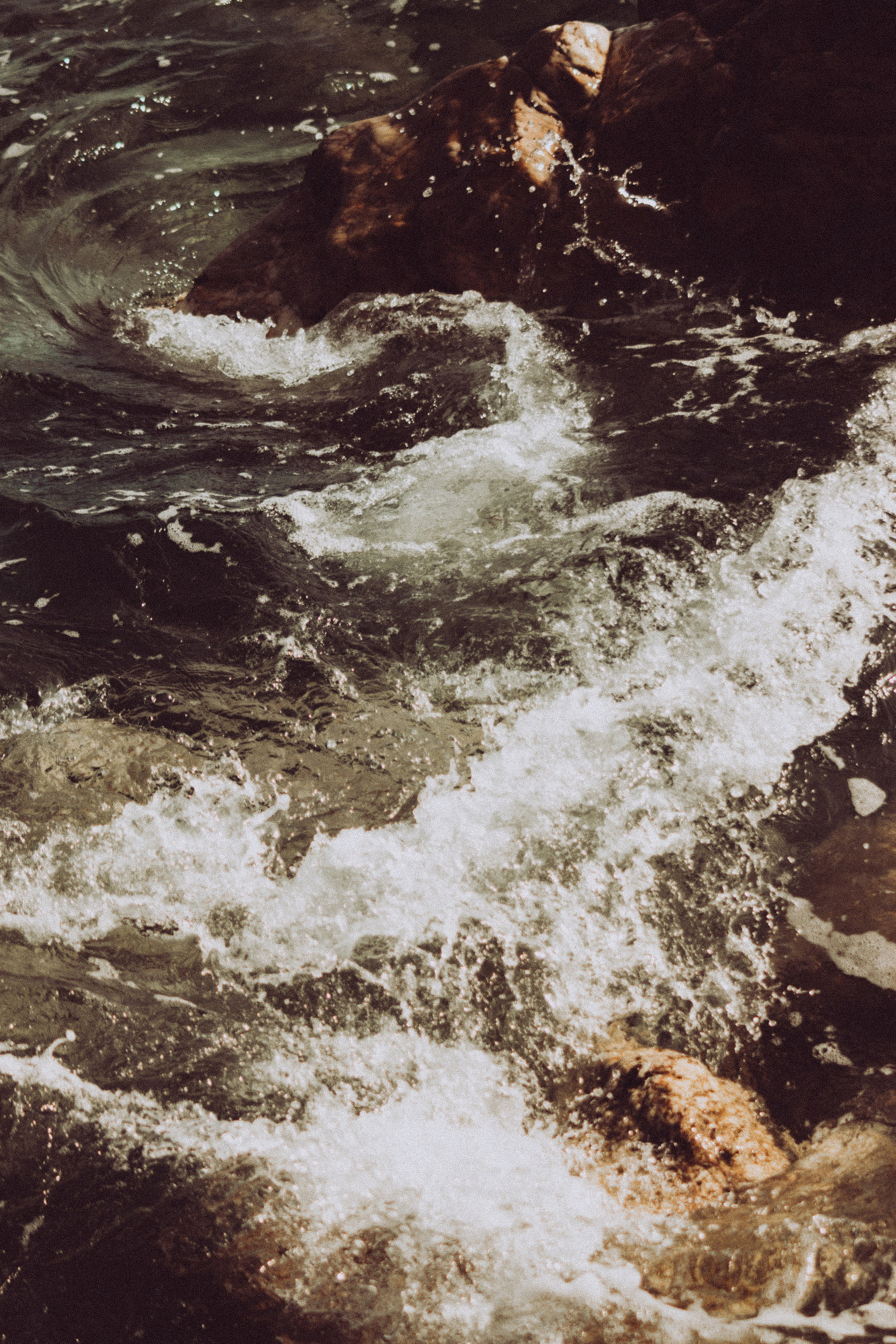 Anse Magaud, Cap Brun, Toulon. Photographe à la Seyne sur Mer, Var