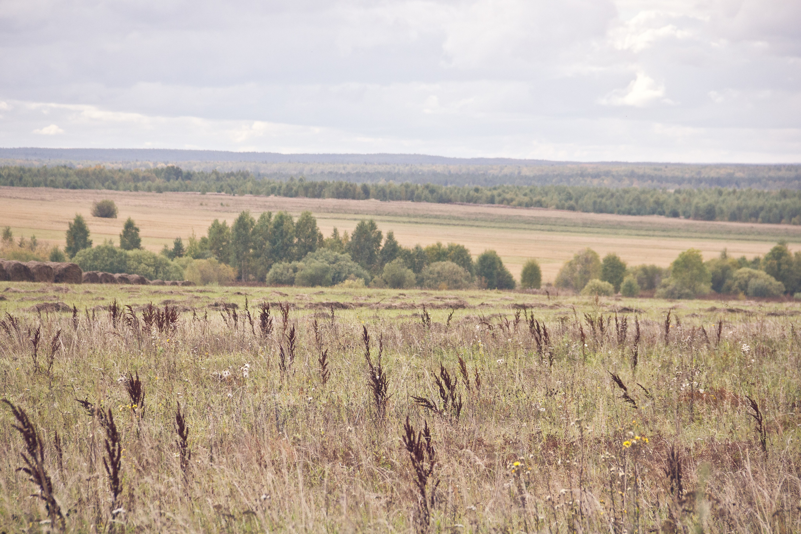 Заброшенная Россия: Мантурово. Фотограф в Германии — Мария Чистякова
