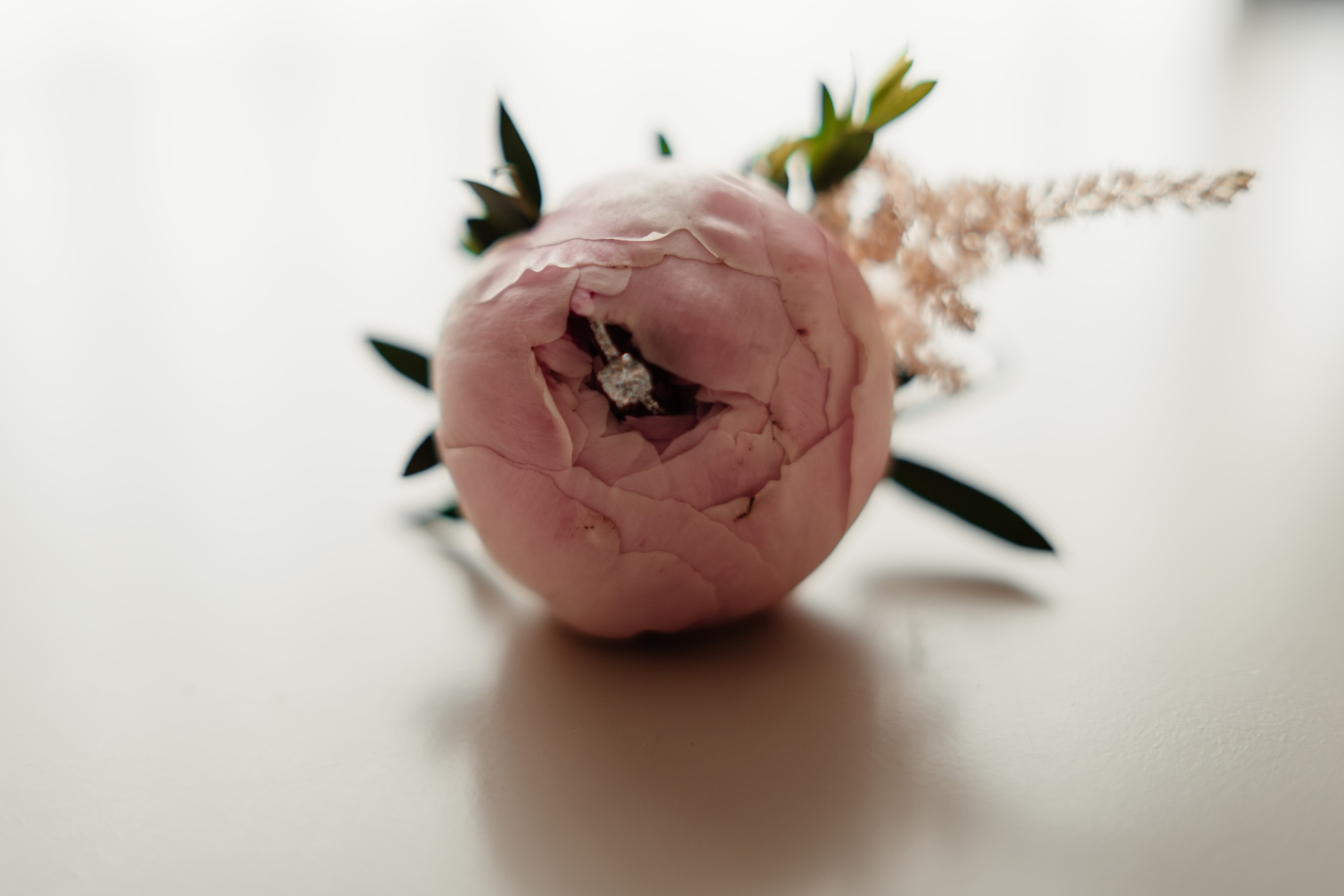 Alexandra + Andrei / Iasi. Foto-Video Nunta Iasi, Suceava, Bucuresti / Disponibilitate 2025 — 2026 — 2027