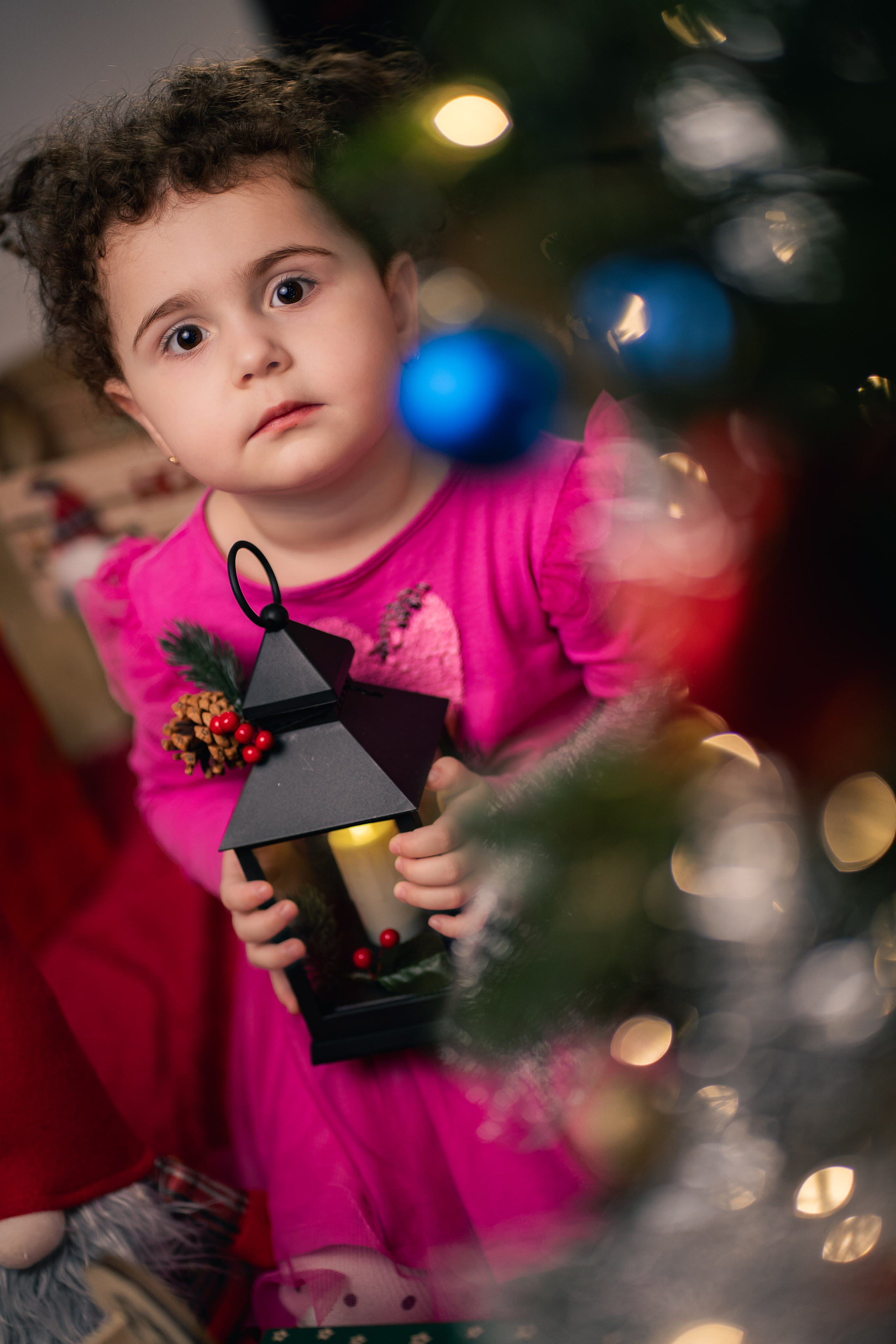 Sedinta foto Craciun — Gradinita Miniterra. Liviu Andrei - Fotograf