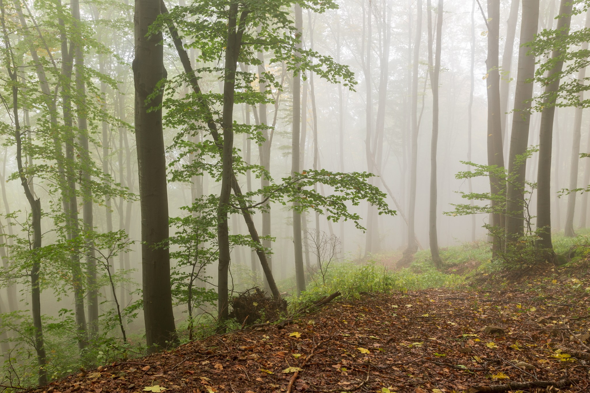 Планини. Александър Сандев - личен сайт на фотографа