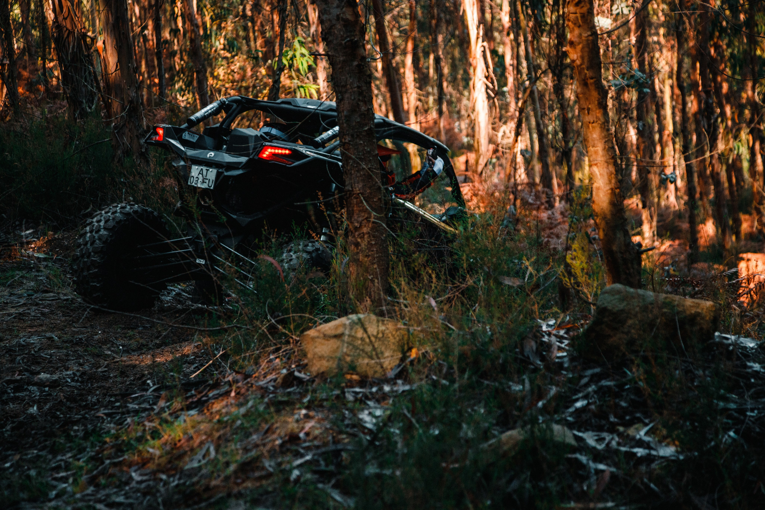 Reportage sport. Wedding photographer and videographer Europe