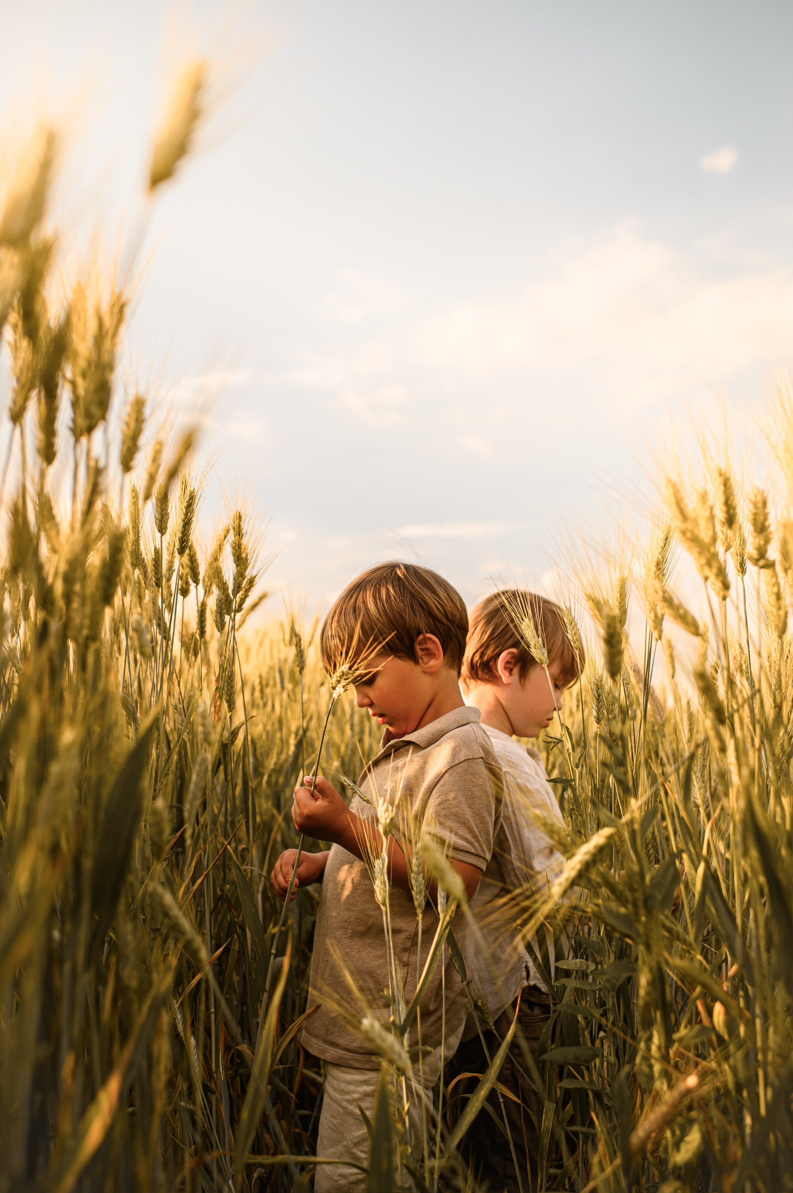 Wheat fields. Family, children, portrait, and event photography in Thessaloniki