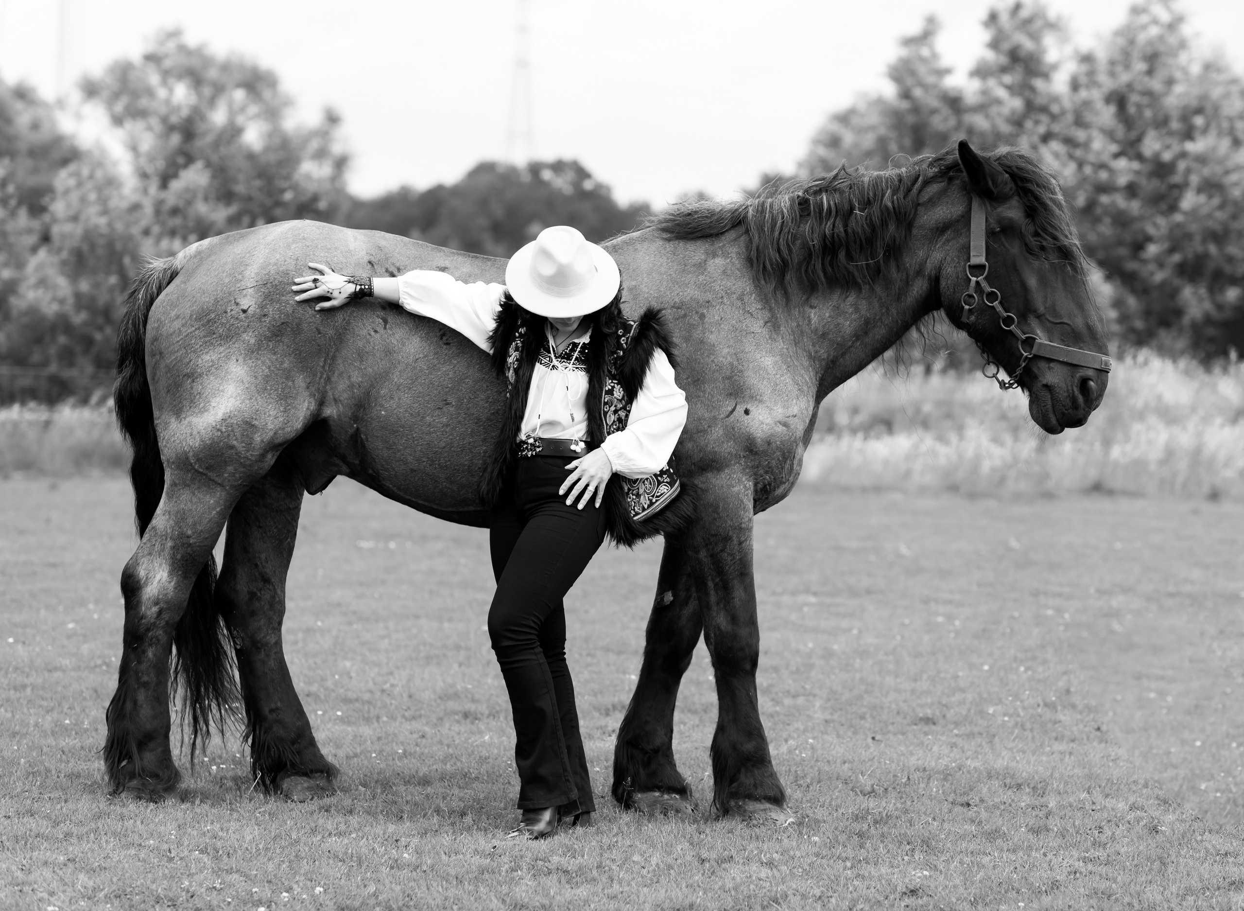 Photoshoot with Horses. Professional Photograher, Antwerpen/Belgium