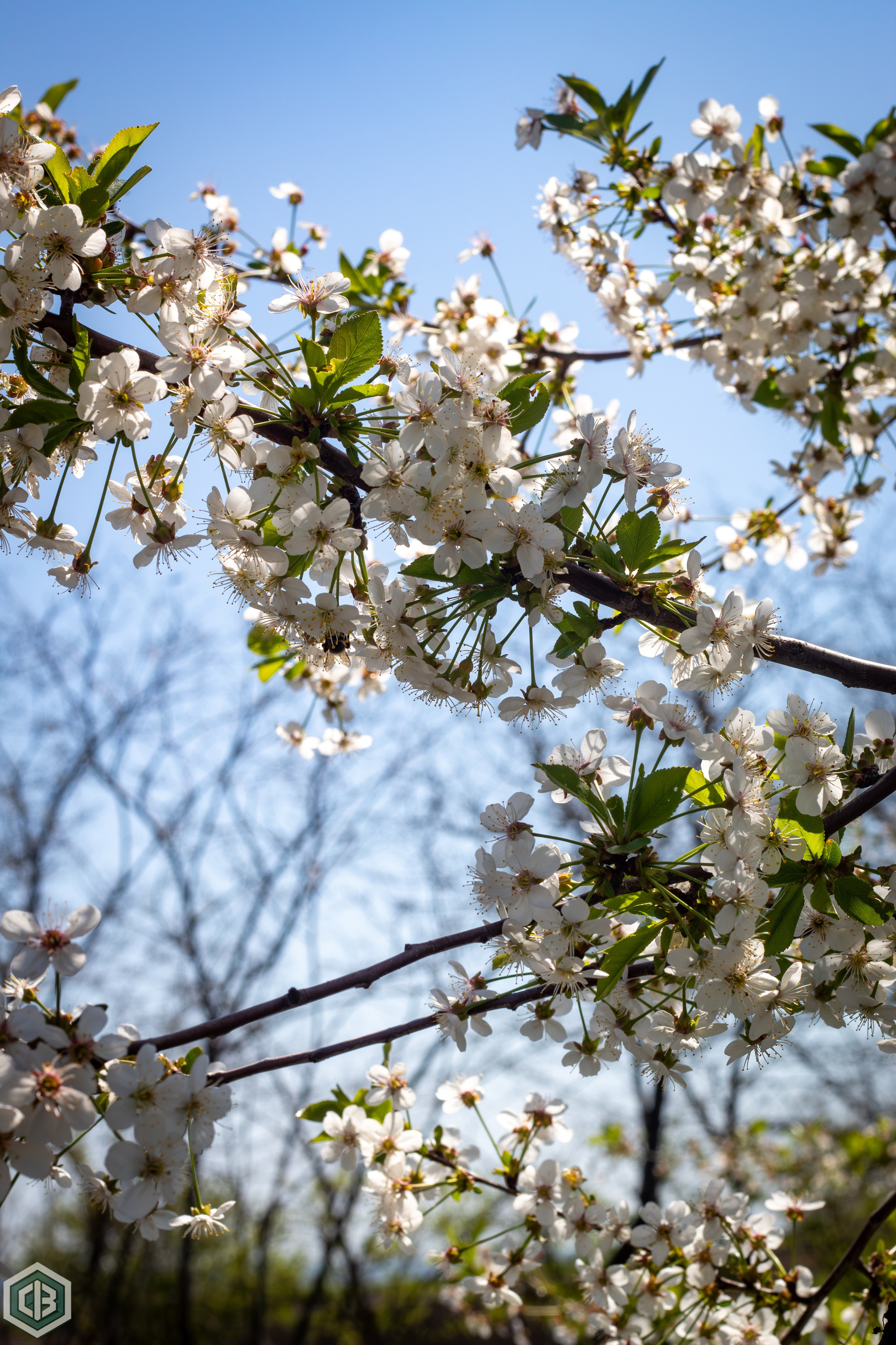 Trip to Mileanca. Cristian Baltag | Photography | Capturing Moments in Iasi