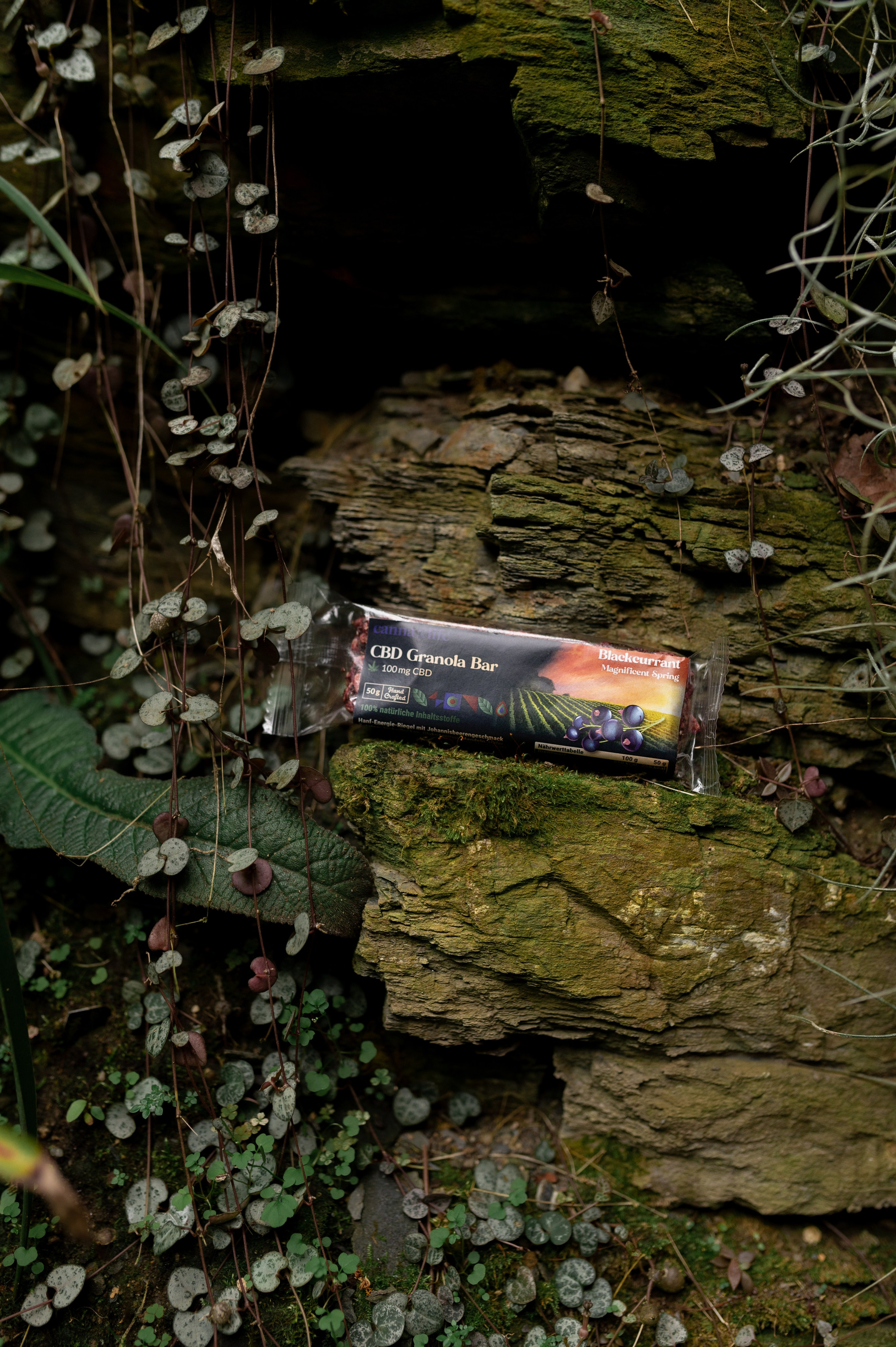 CannaXlife CBD products. ANNA-MARIA PHOTO CONTENT CREATOR — фотограф, естет, художник і візуальний експерт Instagram у Празі