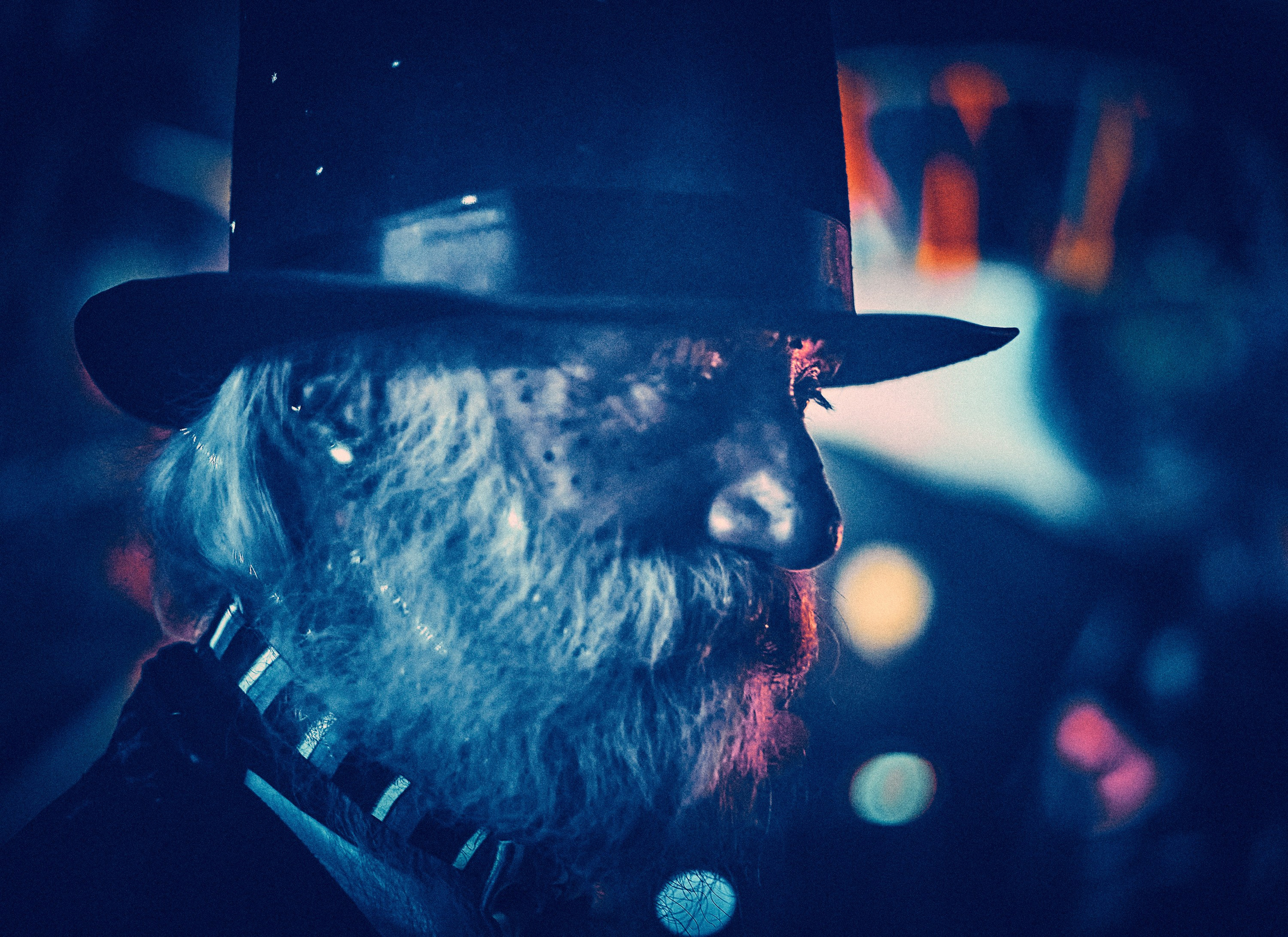 Koncert SPACEBOY na Organic Festival 2021. Andriej Szypilow — Photography & Videography