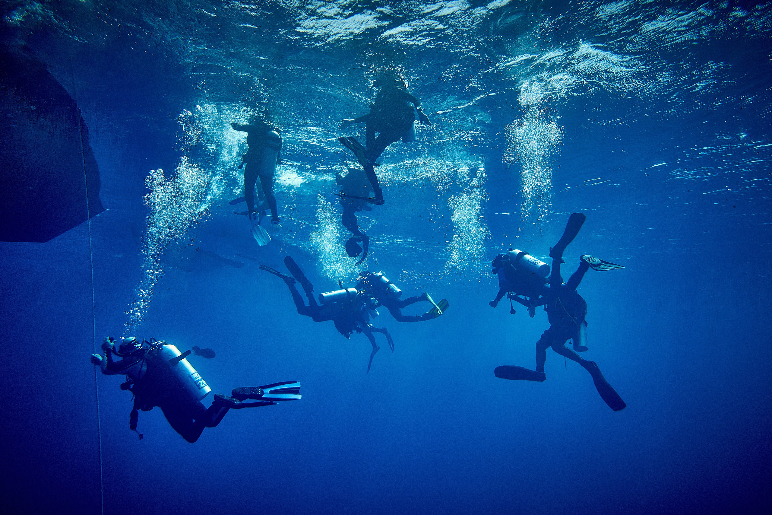 2023-11 - Diving Safari Deep South Egypt. Андрей Шипилов — Фотография & Видеография
