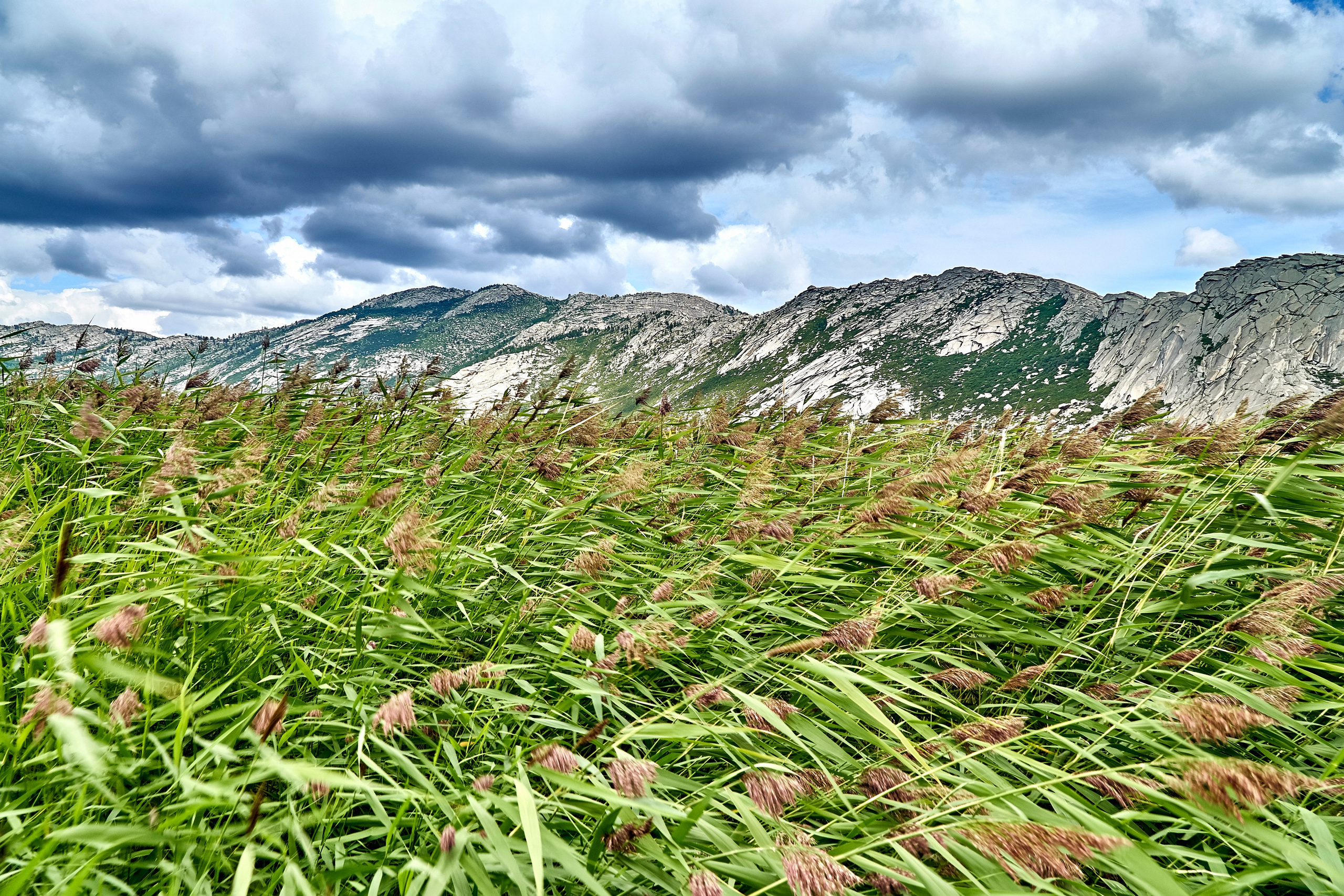 Sibiny (Kazachstan). Andriej Szypilow — Photography & Videography