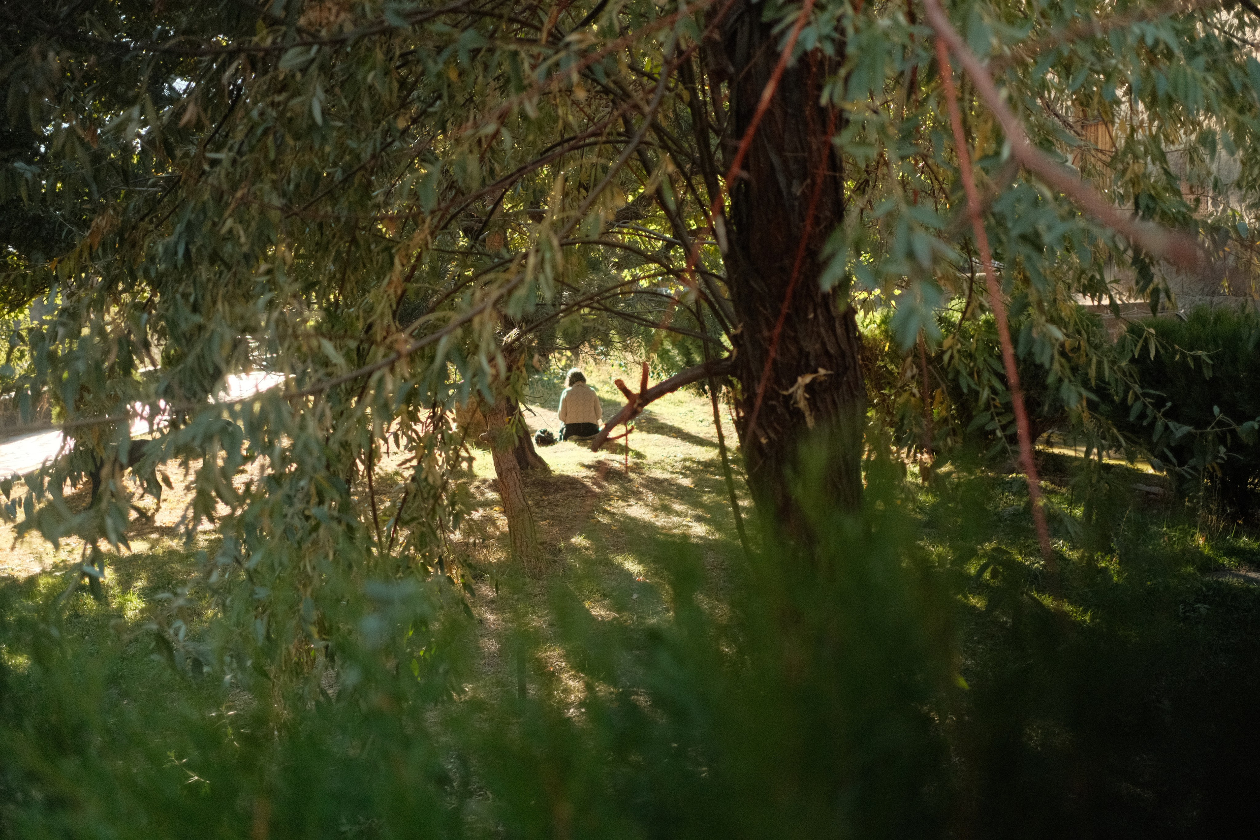 Nikita Pavlov, Photographer — Vienna, Austria