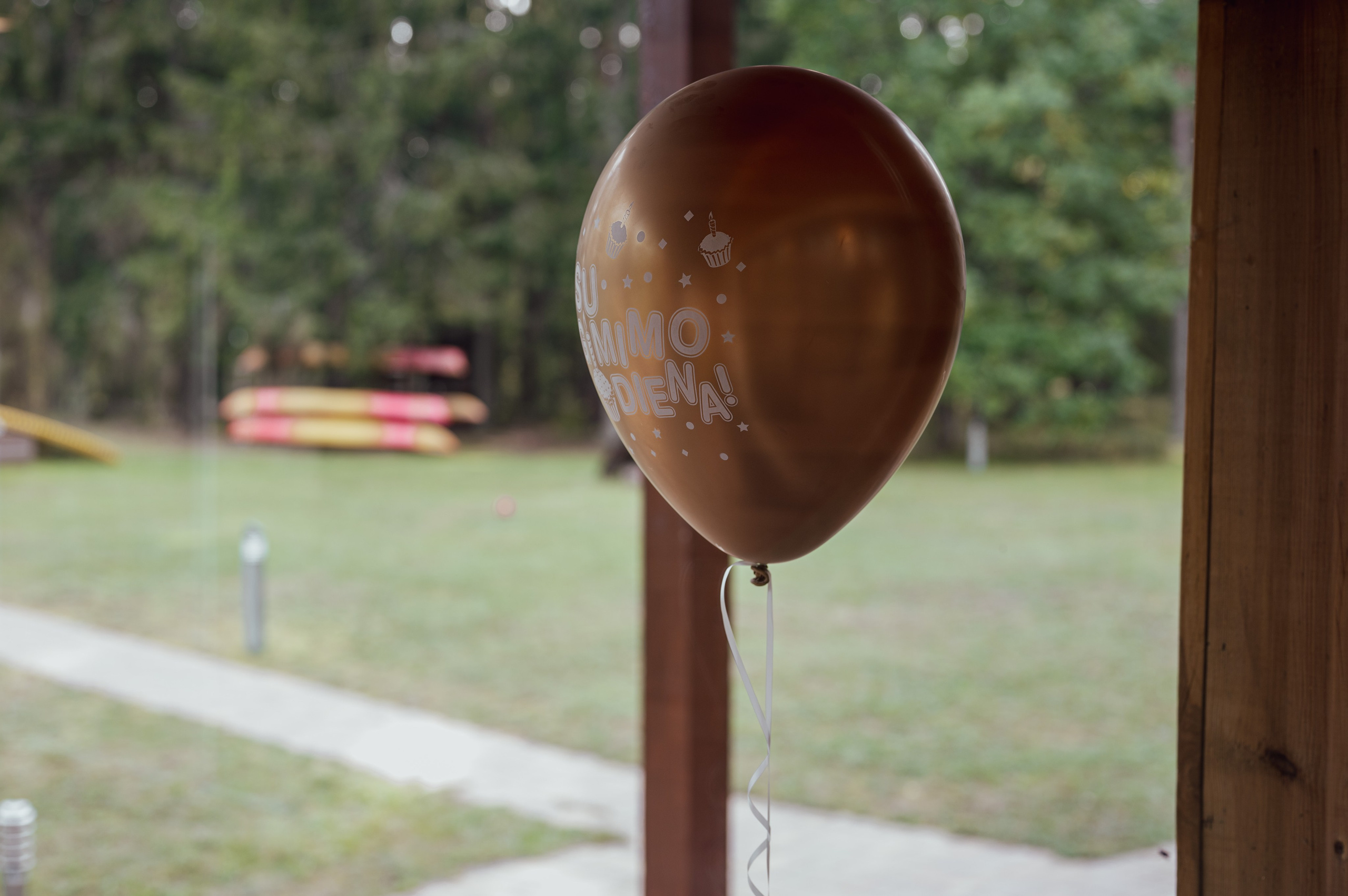 Мероприятия. Фотограф Сергей Трифонов