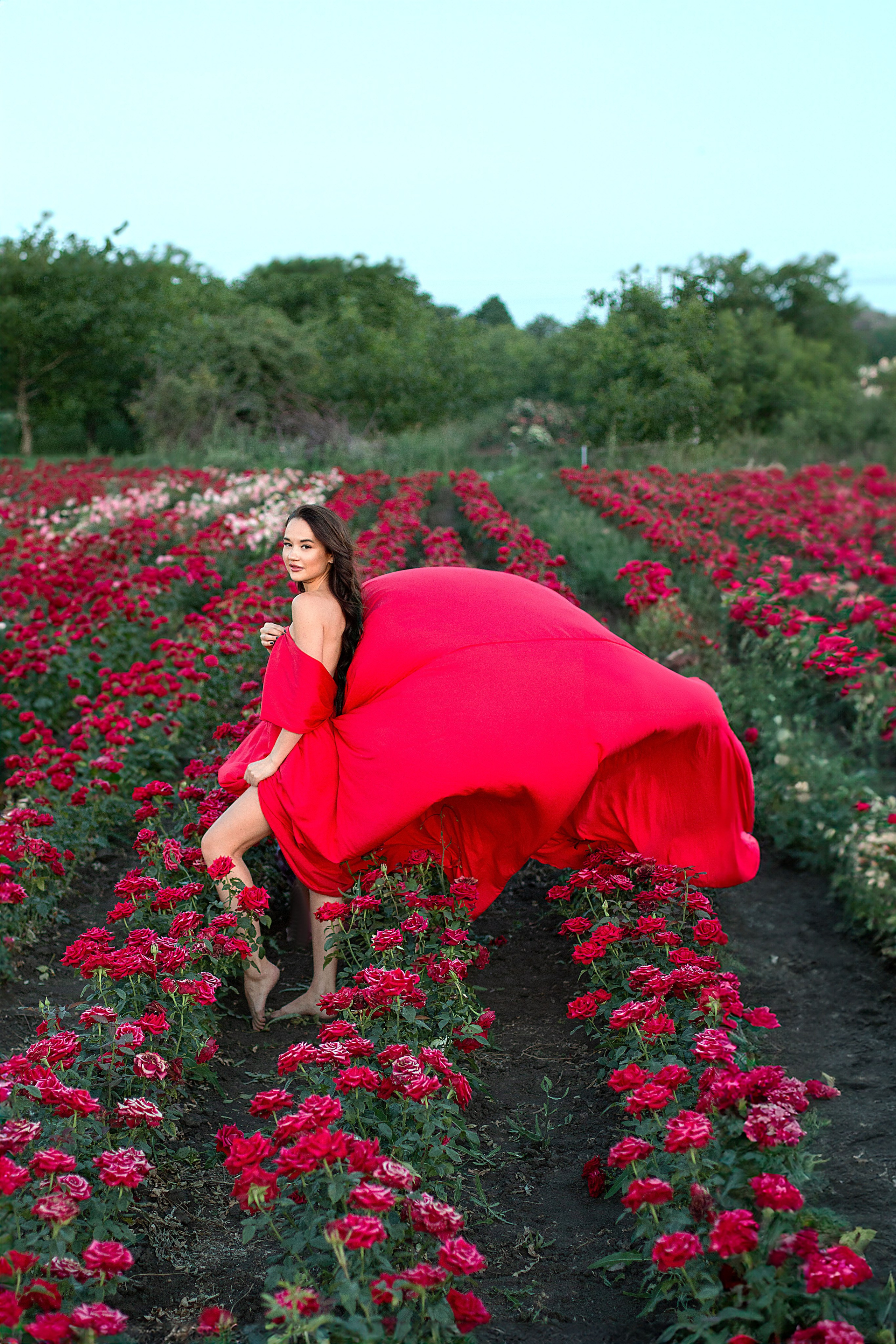 Розы. Детский и семейный фотограф в г. Бельцы