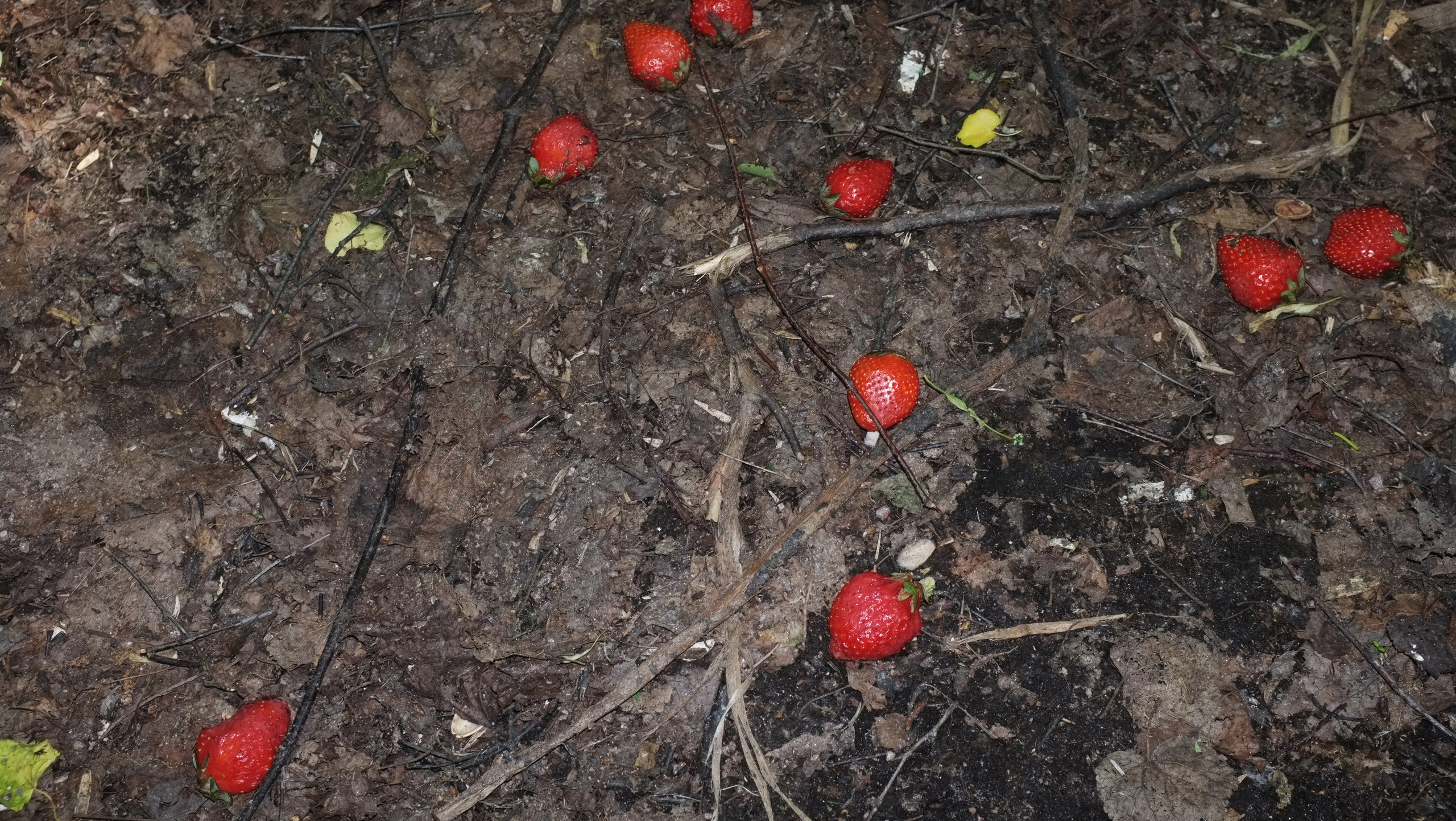 To me, to you 2015. Photographe de produits et natures mortes à Paris