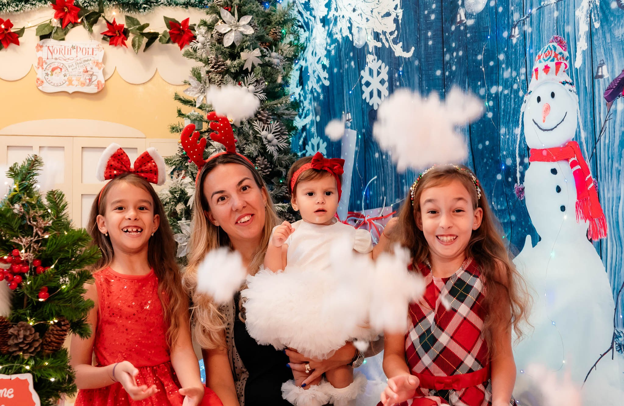 Sedinta Craciun Alina