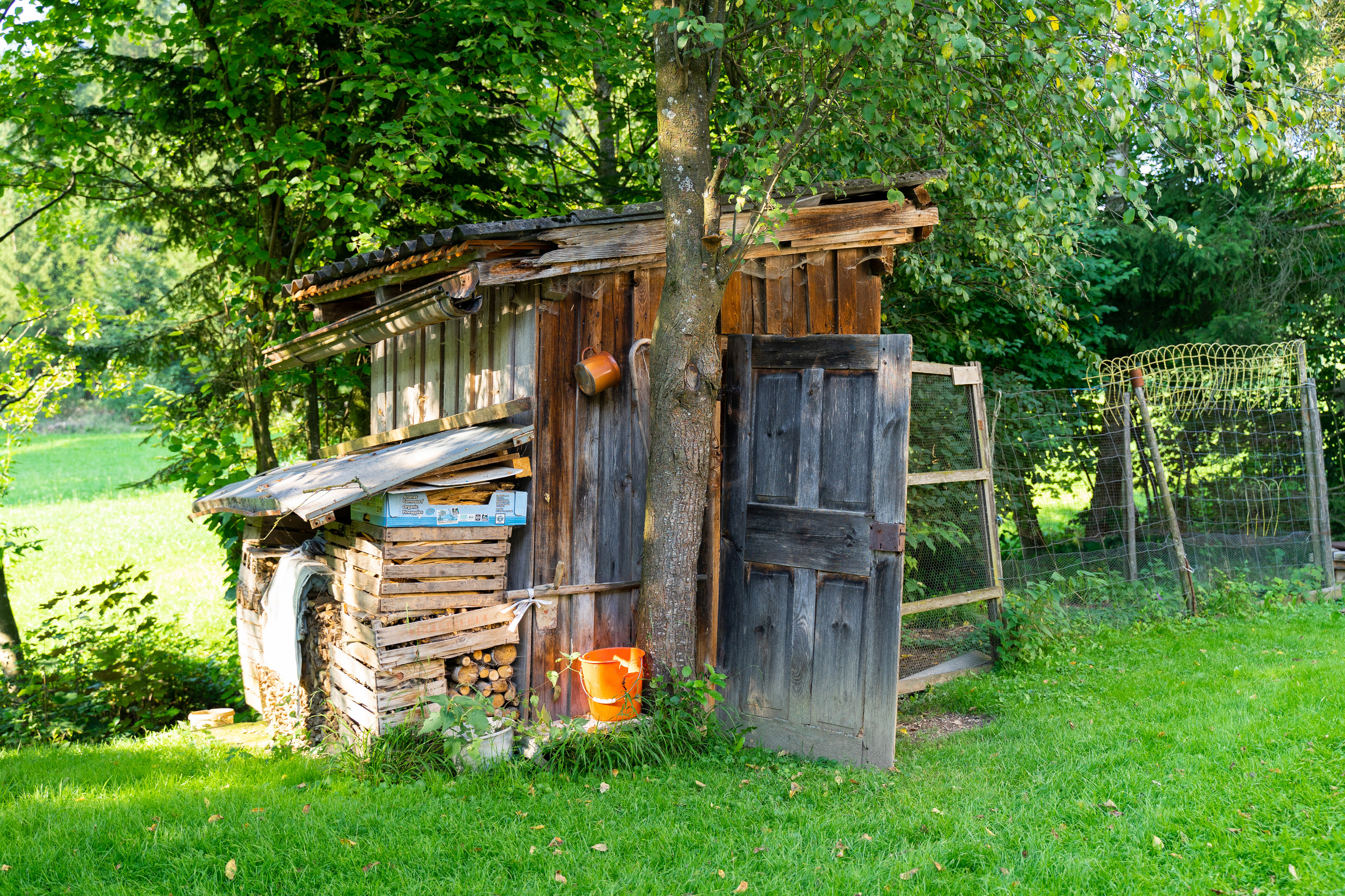 Am Bauernhof. Hallo, ich bin Nadya - Fotografin aus Linz, Oberösterreich