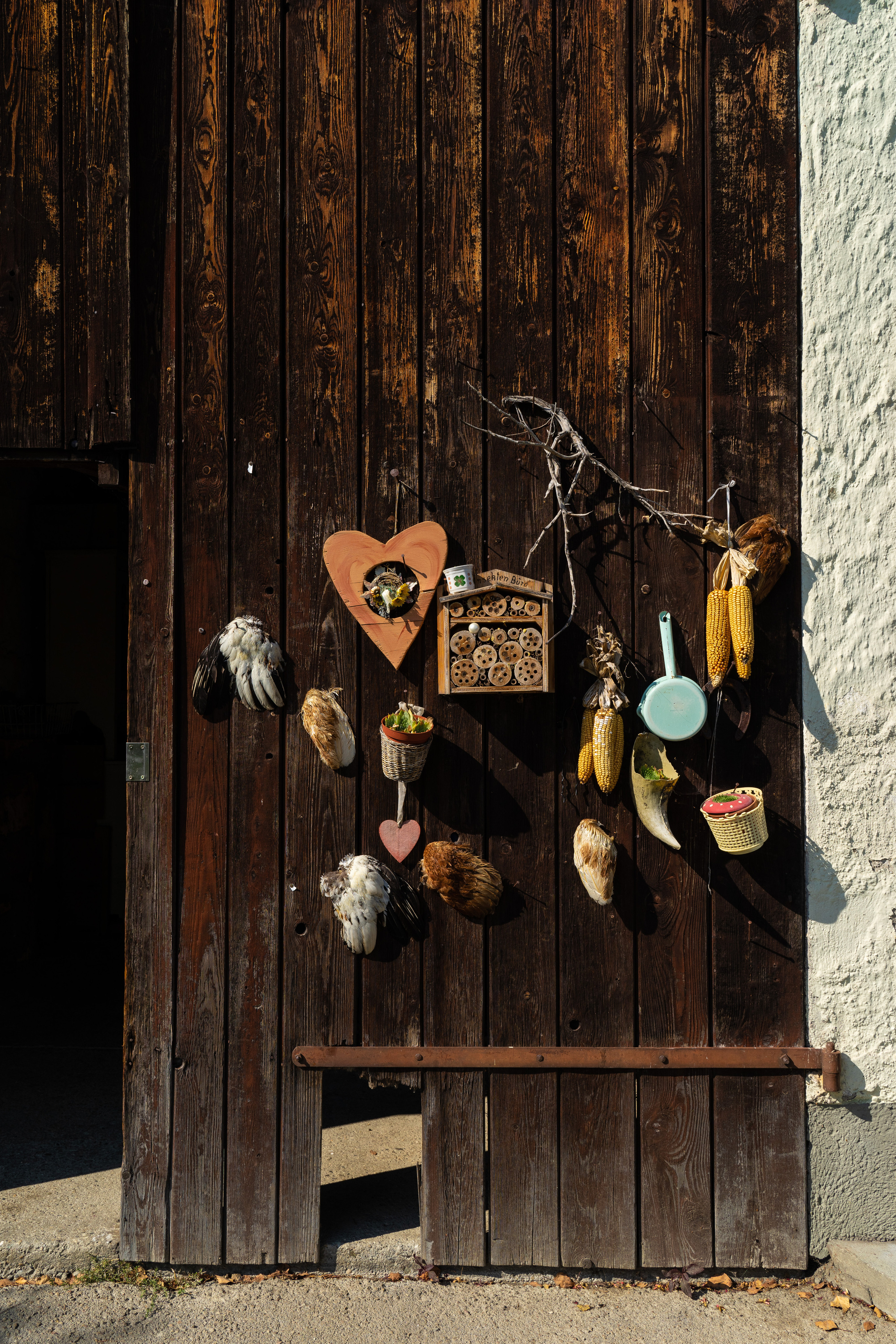 Am Bauernhof. Hallo, ich bin Nadya - Fotografin aus Linz, Oberösterreich