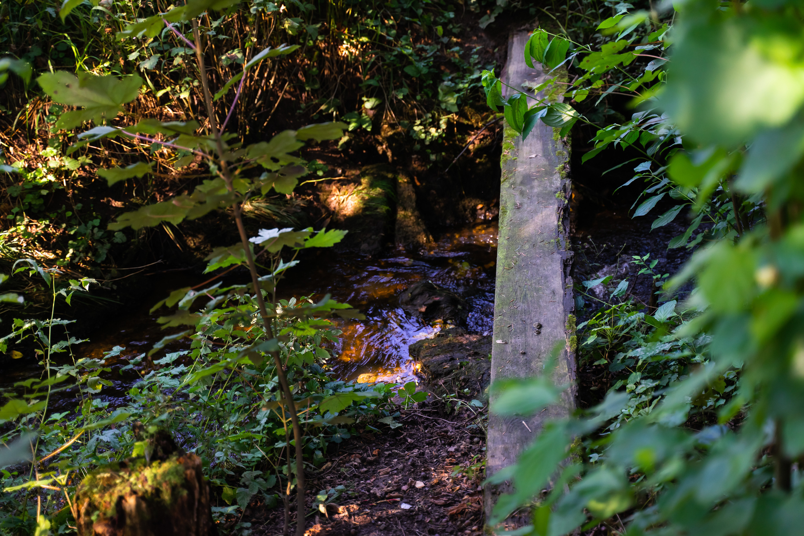 Am Bauernhof. Hallo, ich bin Nadya - Fotografin aus Linz, Oberösterreich