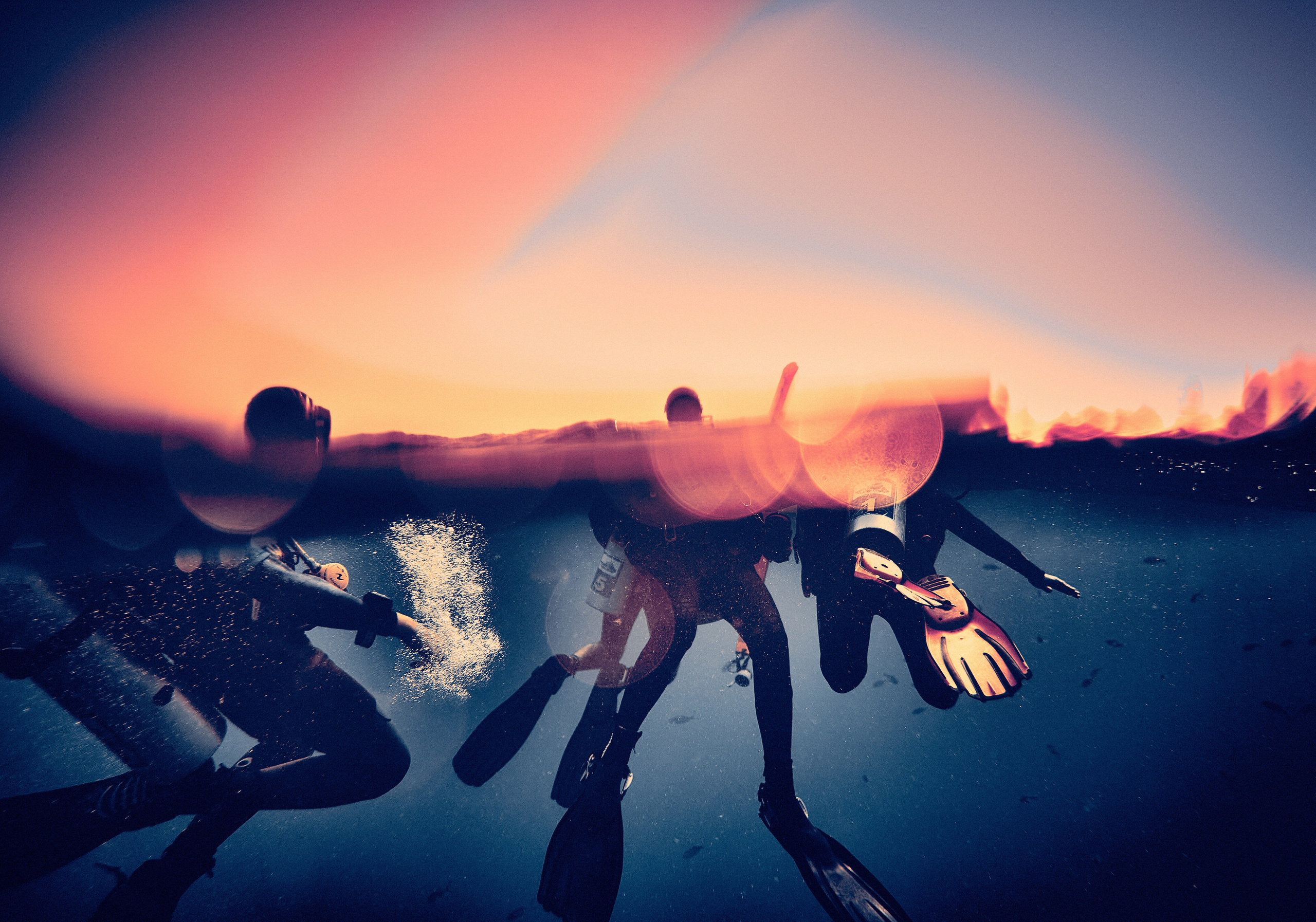 2023-11 - Diving Safari Deep South Egypt. Андрей Шипилов — Фотография & Видеография