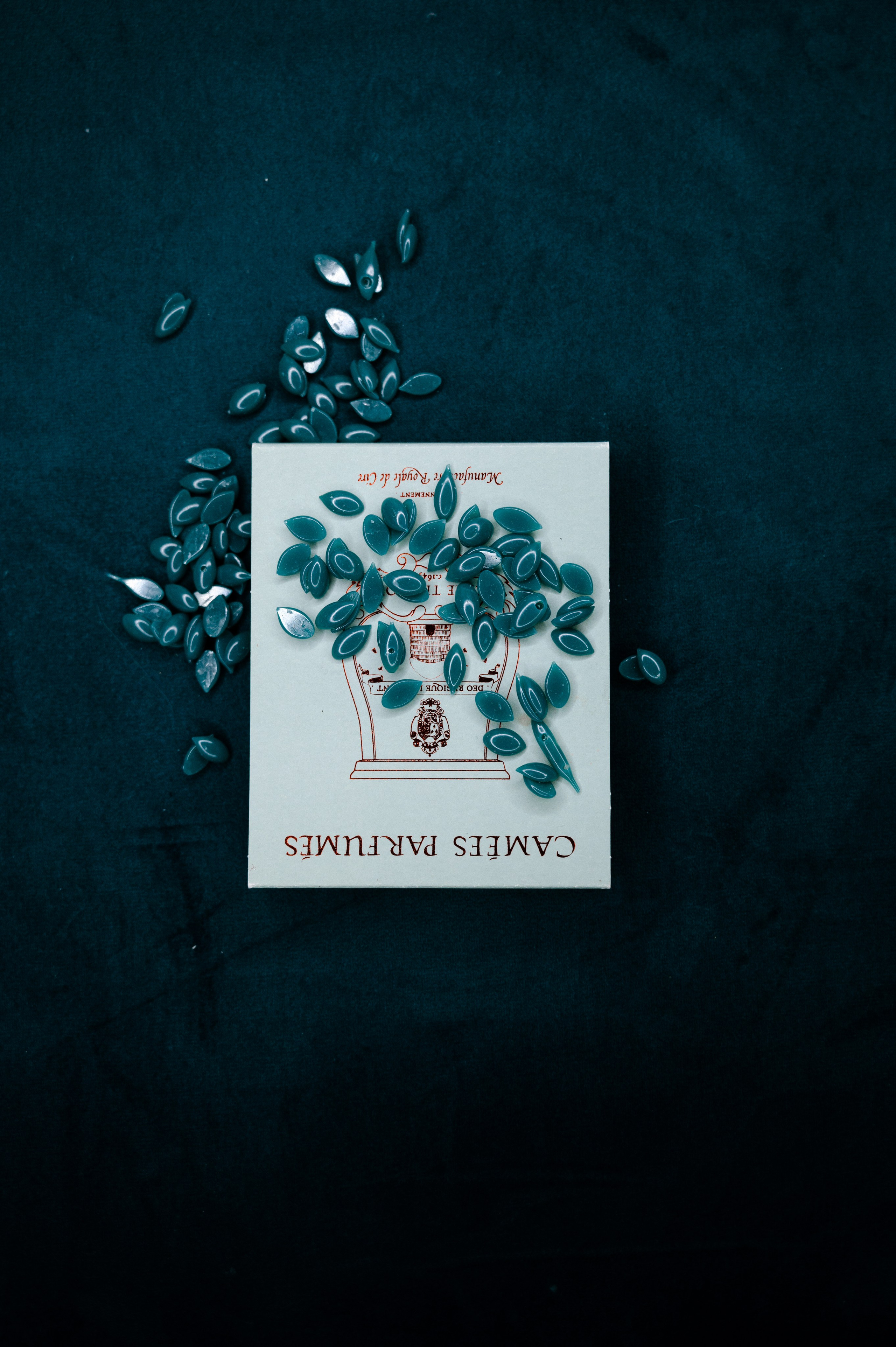 Astudio beauty studio in Prague. ANNA-MARIA PHOTO CONTENT CREATOR — photographer, aesthete, artist, and visual expert for Instagram in Prague