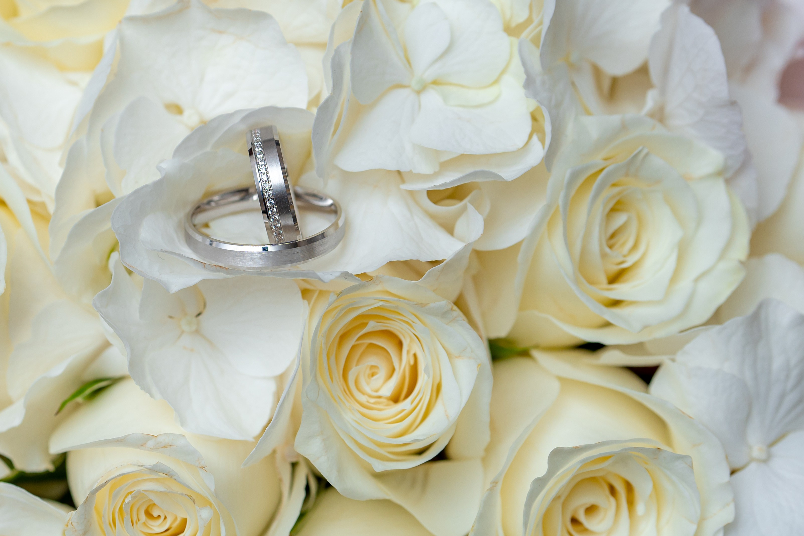 Weddings/Engagements