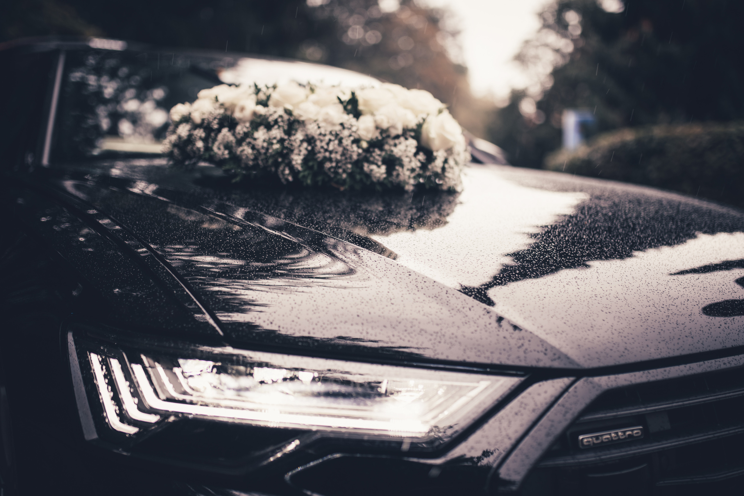 Ich bin Max, Designer, Art & Hochzeitsfotograf aus Germaringen