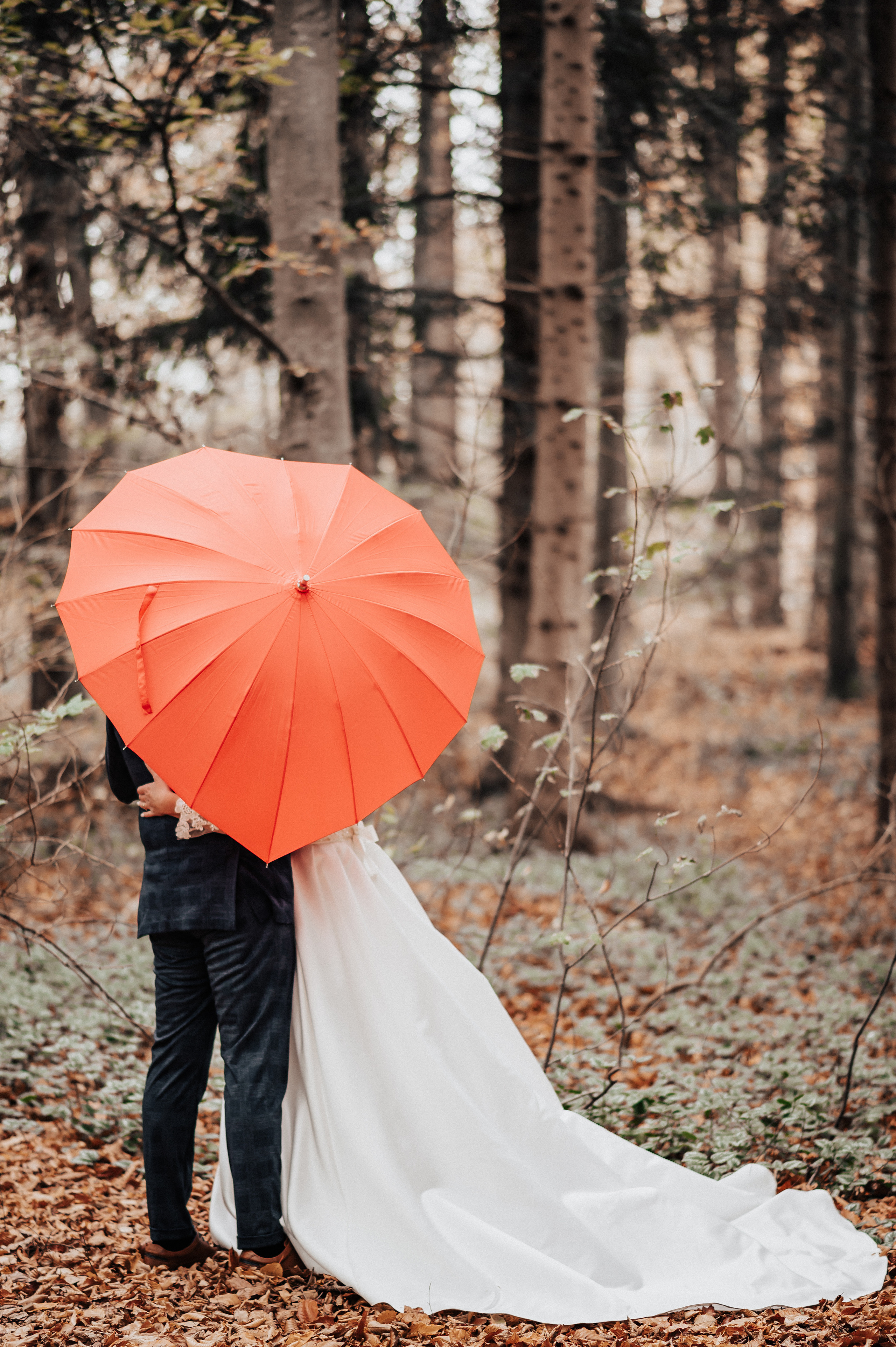 JULIA & ALEX. Ich bin Max, Designer, Art & Hochzeitsfotograf aus Germaringen