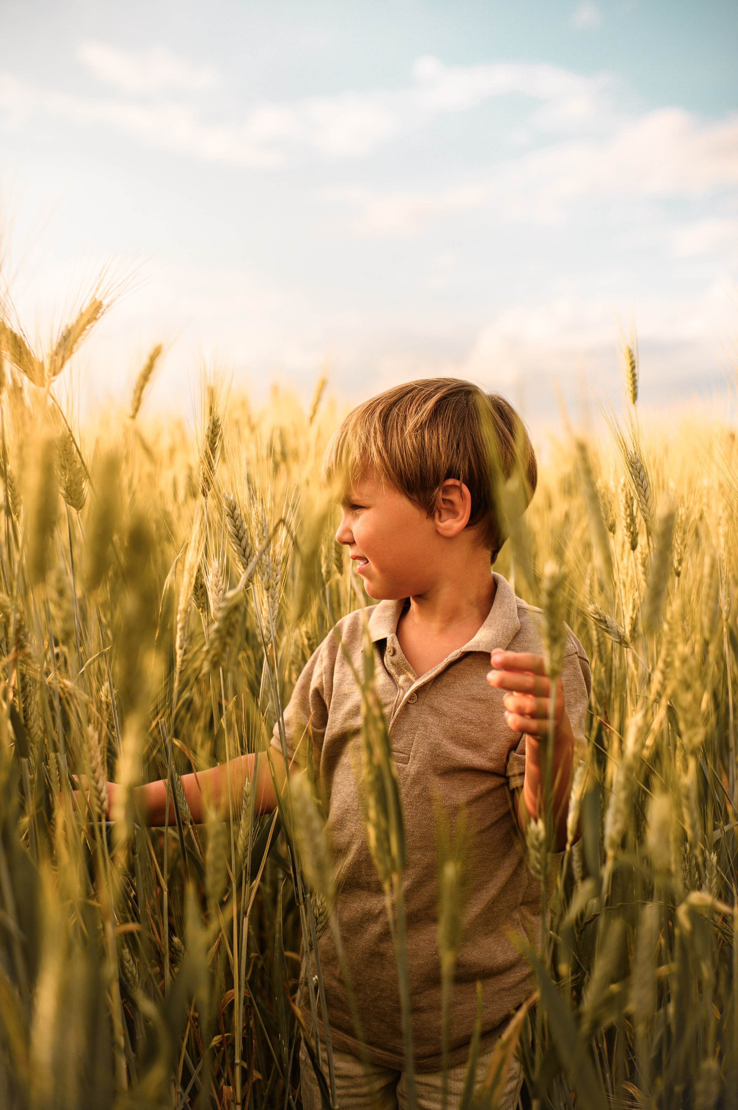 Wheat fields. Family, children, portrait, and event photography in Thessaloniki