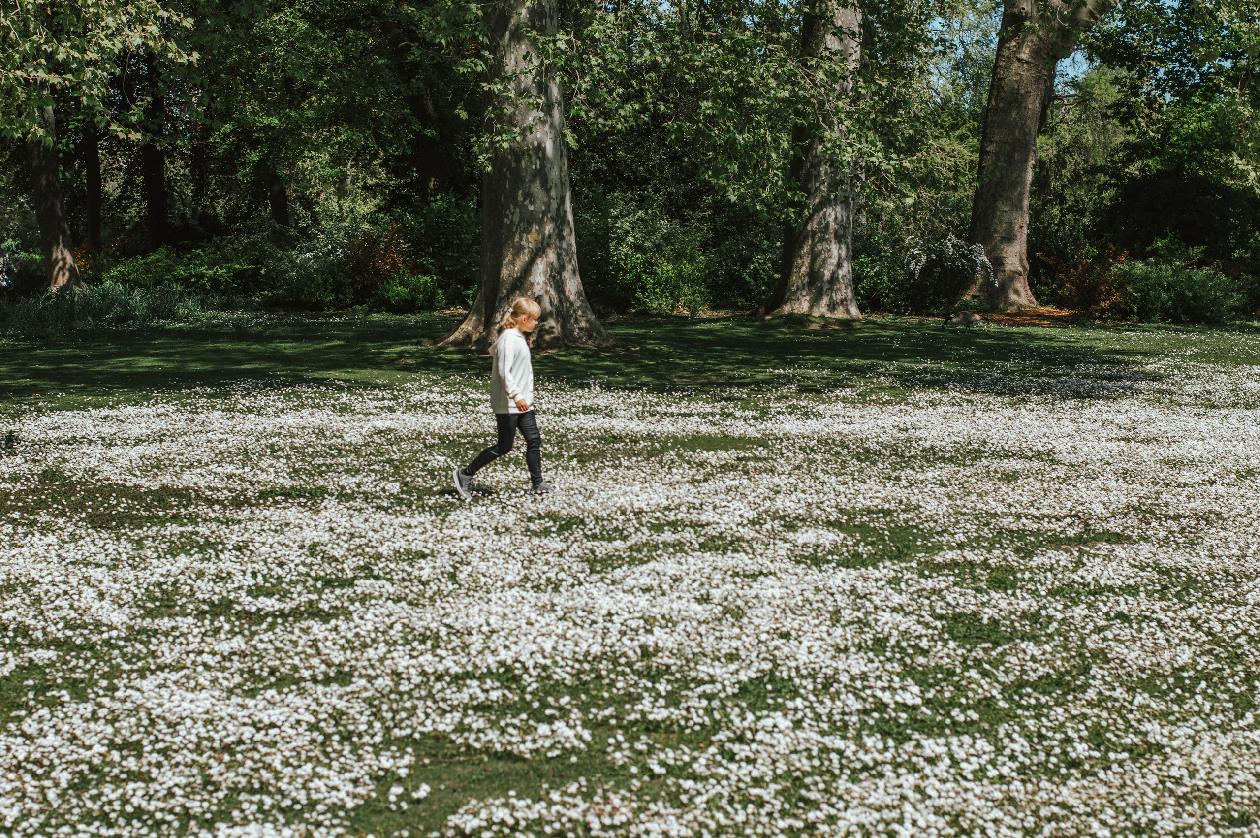 Франция. Анастасия Благова — Твой фотограф в Малаге 🇪🇸