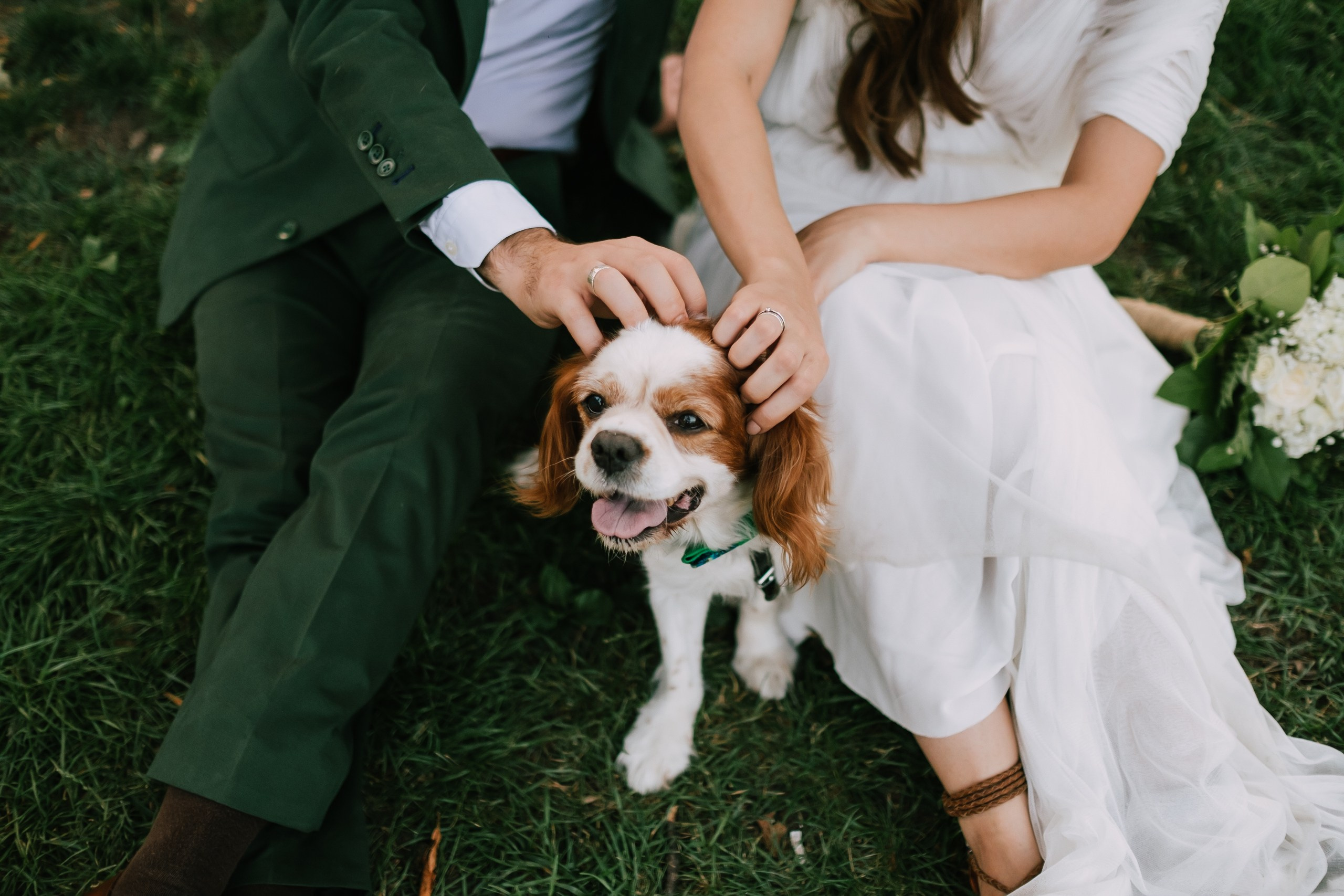 Florin PEPENE PHOTOGRAPHY