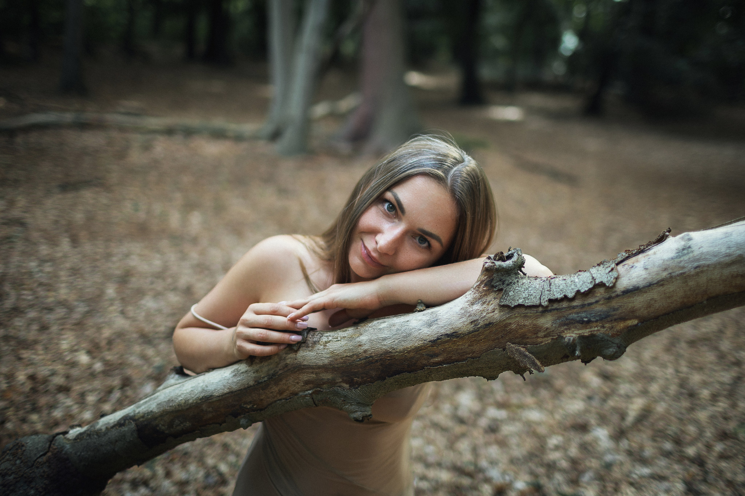 Waldportrait in Gifhorn