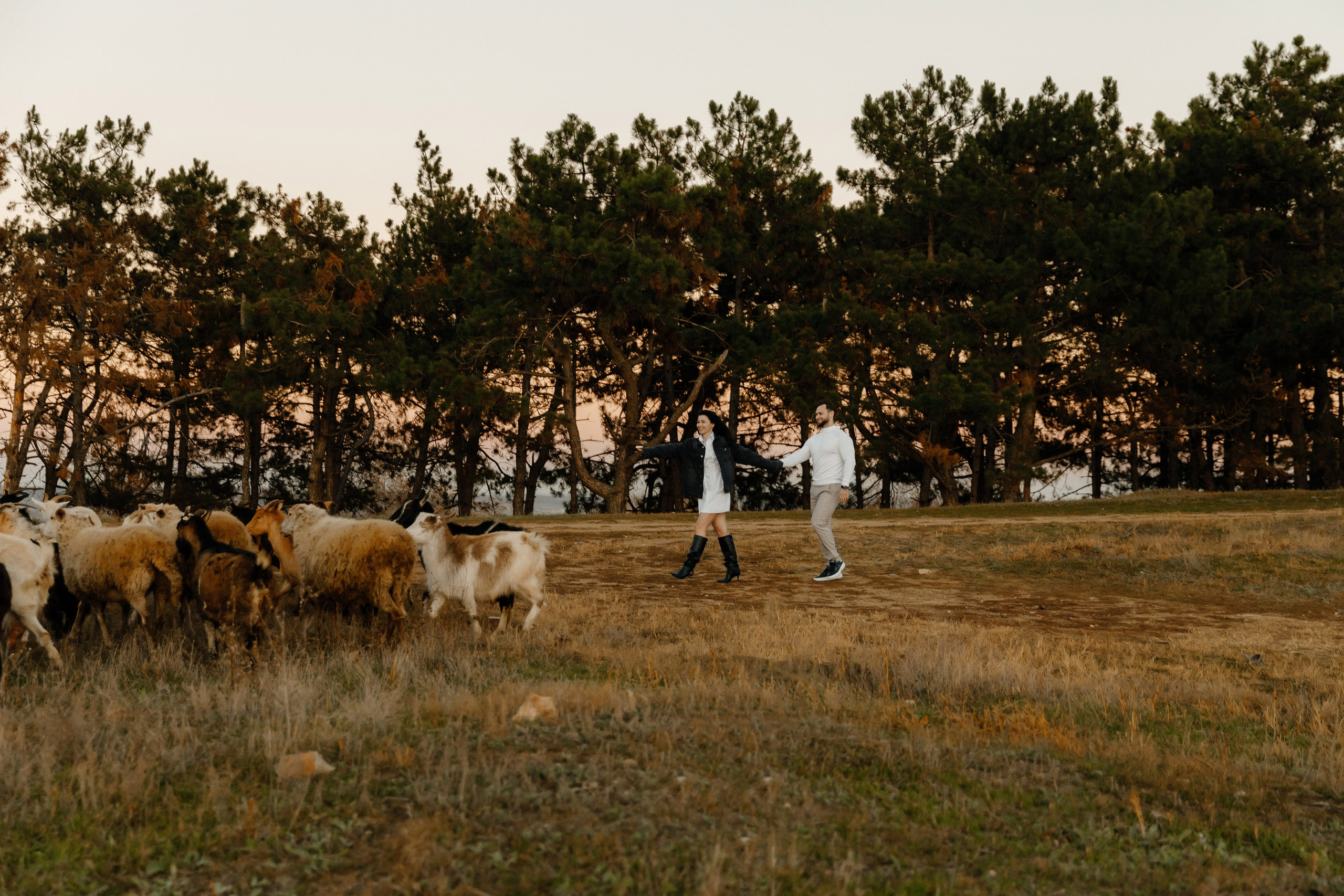 MIHAELA + ANDREI. Fulga Photographer