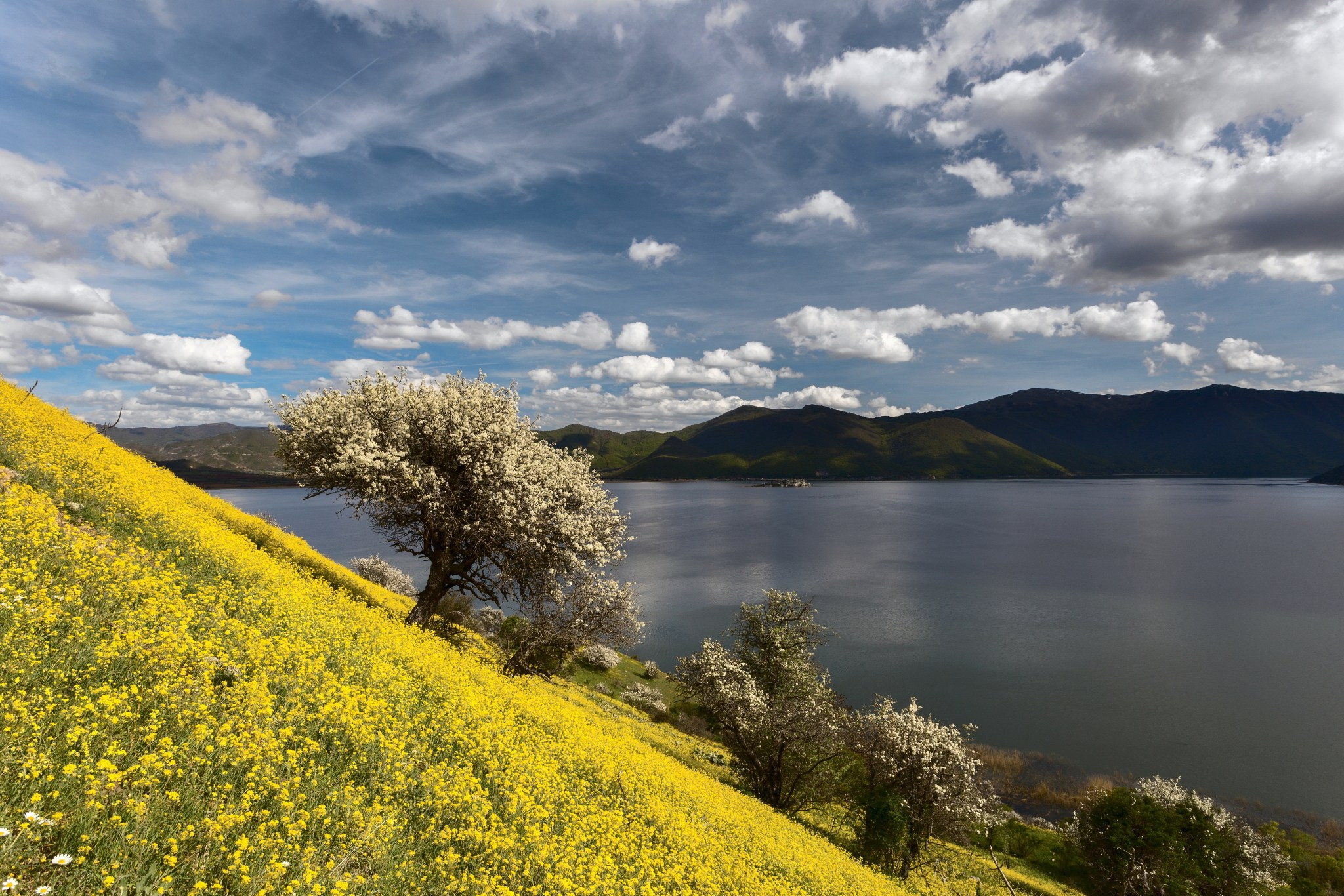 Разни. Александър Сандев - личен сайт на фотографа