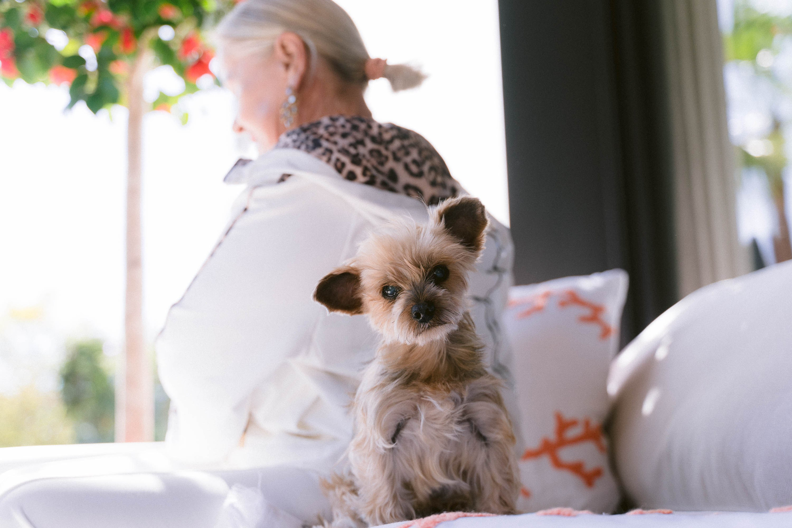 Franziska and her Yorkshire Doggy. Mallorca Wedding, Corporate & Social Photographer