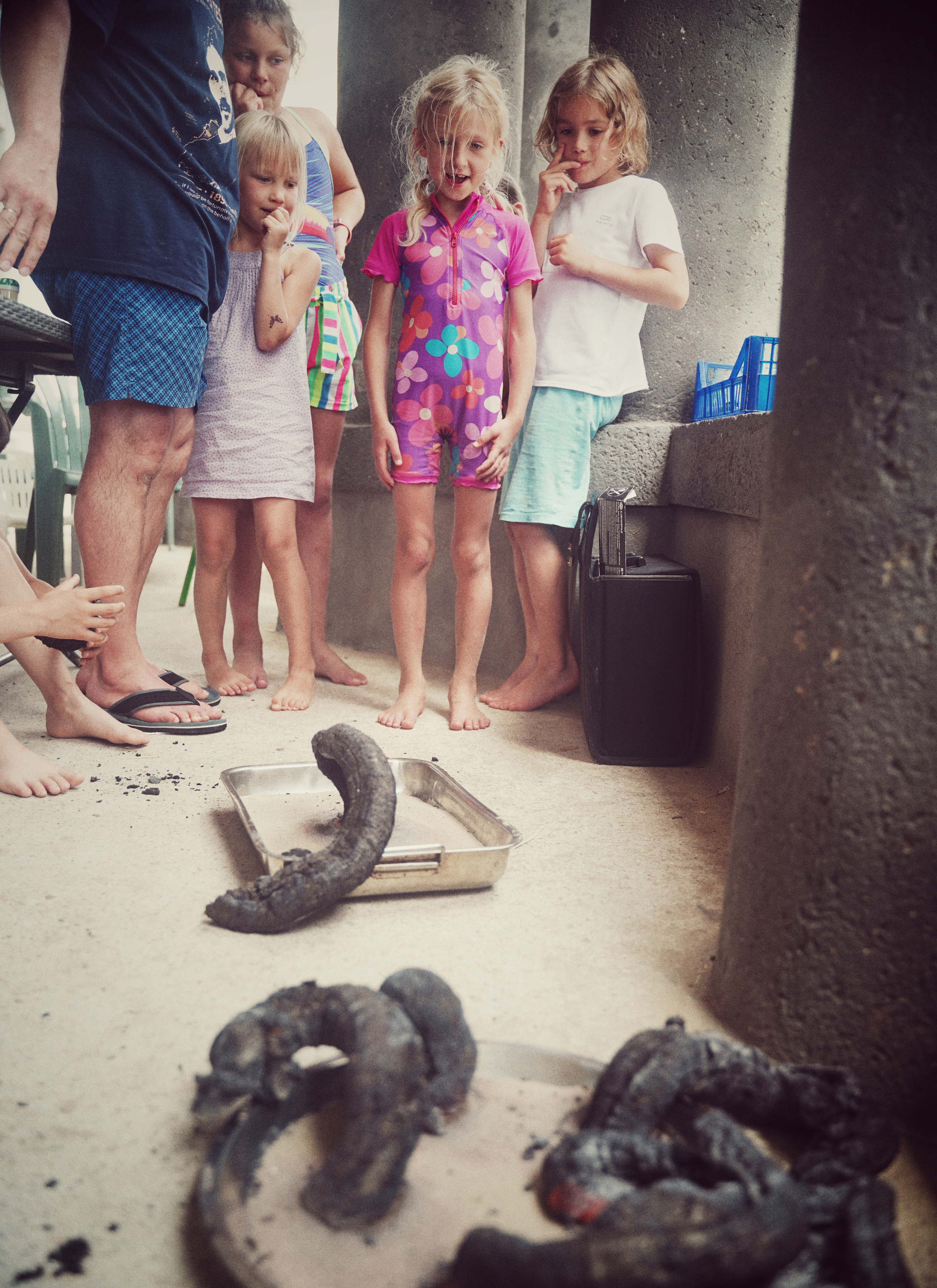 «Путешествие в прошлое» с 1 по 7 августа 2021. Семейные лагеря в Европе с Ниной Янечковой и Ириной Зиновьевой