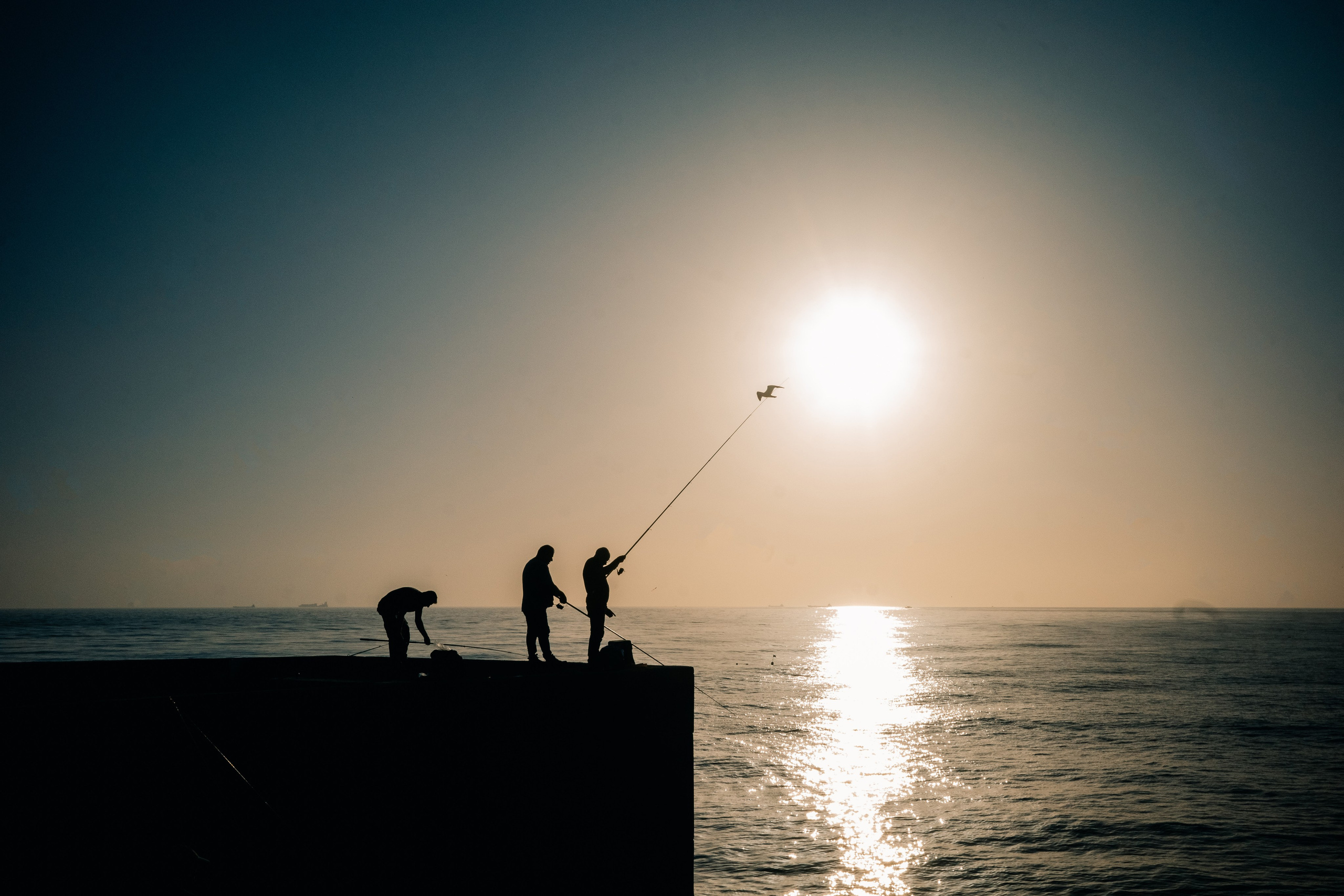 Street. Maria Sher. Professional photographer from Porto, Portugal
