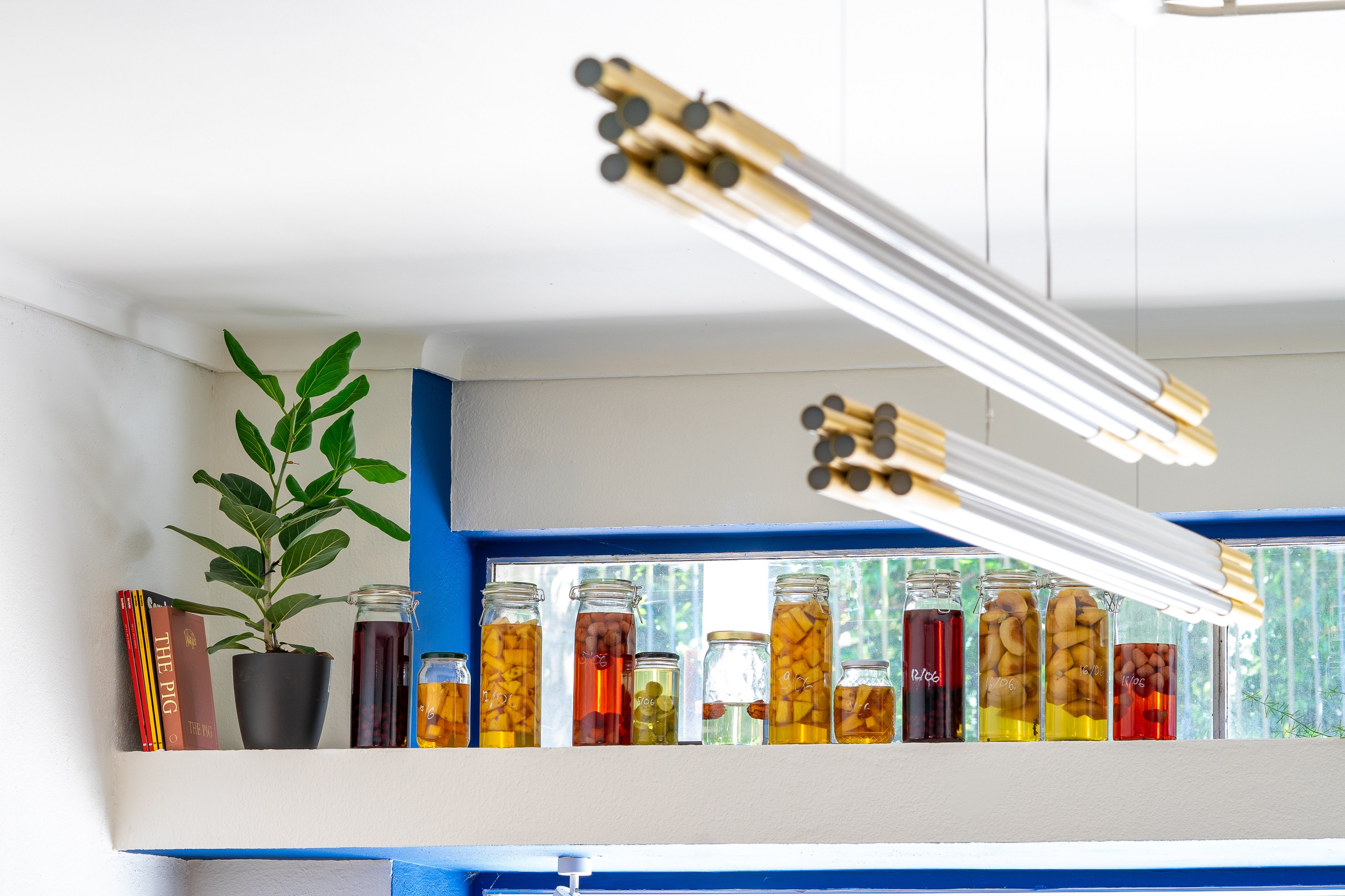 Borboleta. Maria Sher. Fotógrafa profissional do Porto, Portugal