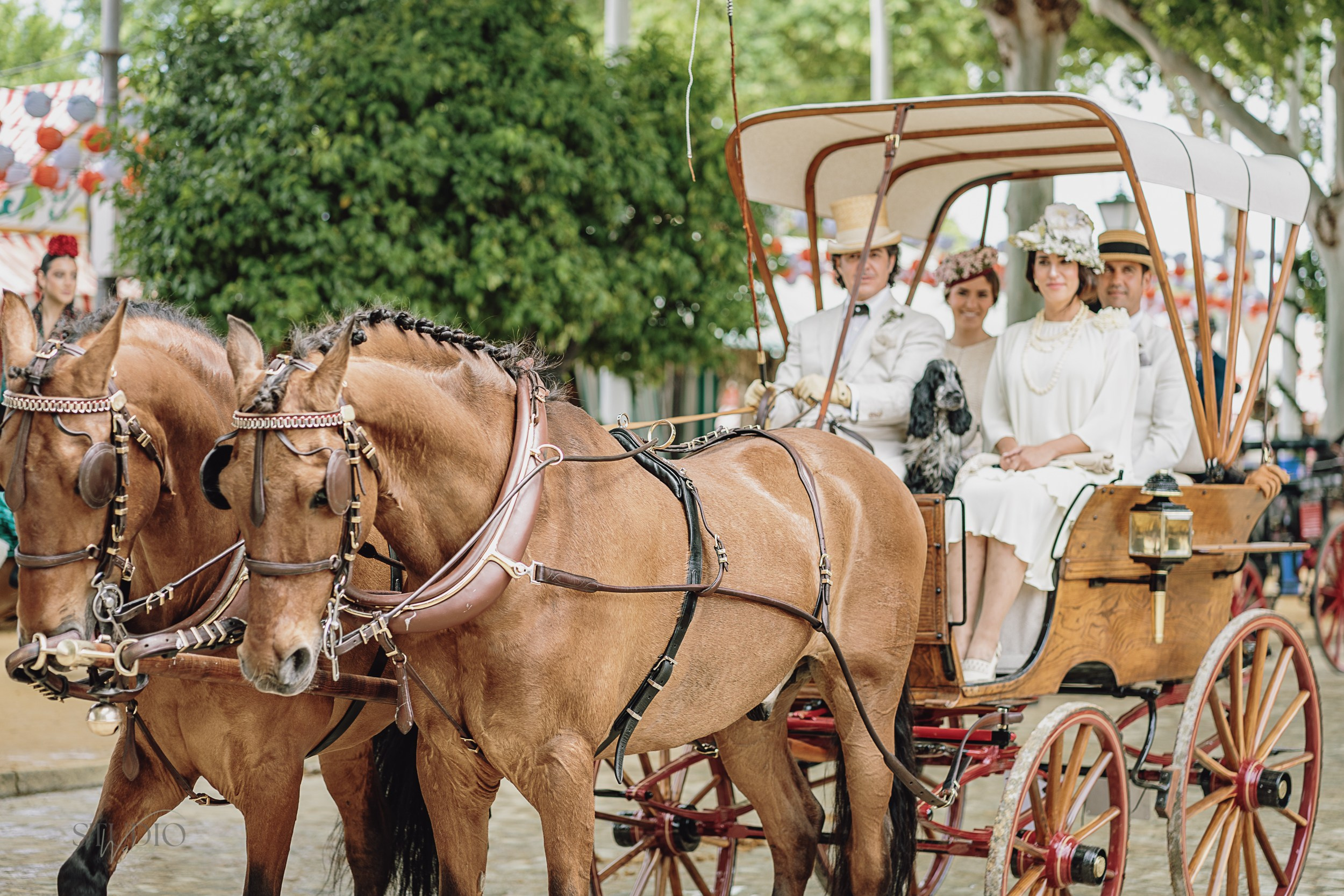 Sesión de fotos en feria de Abril de Sevilla. Inicio