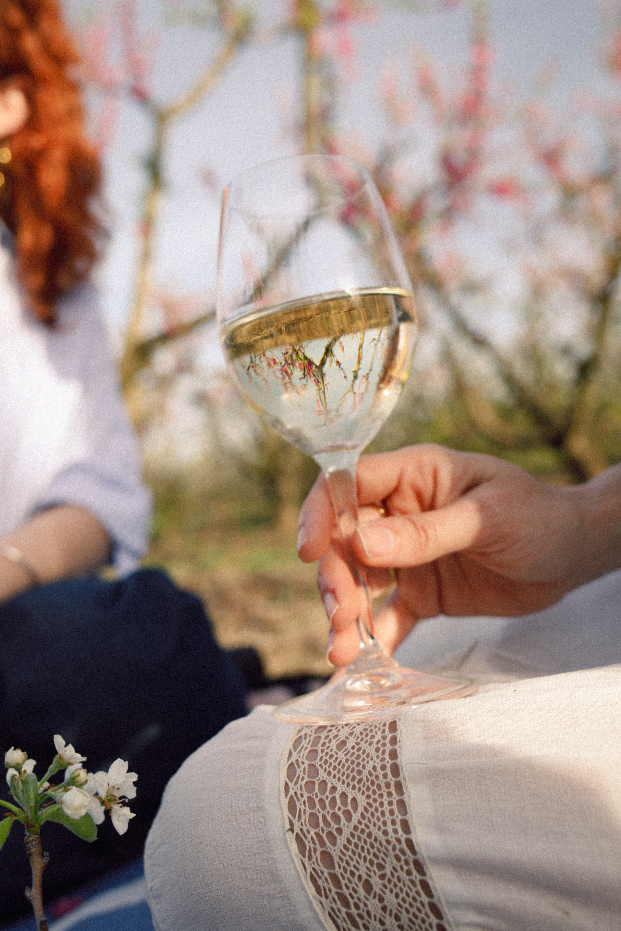 Gessamí — a young white wine filled with floral aromas and fresh fruit.