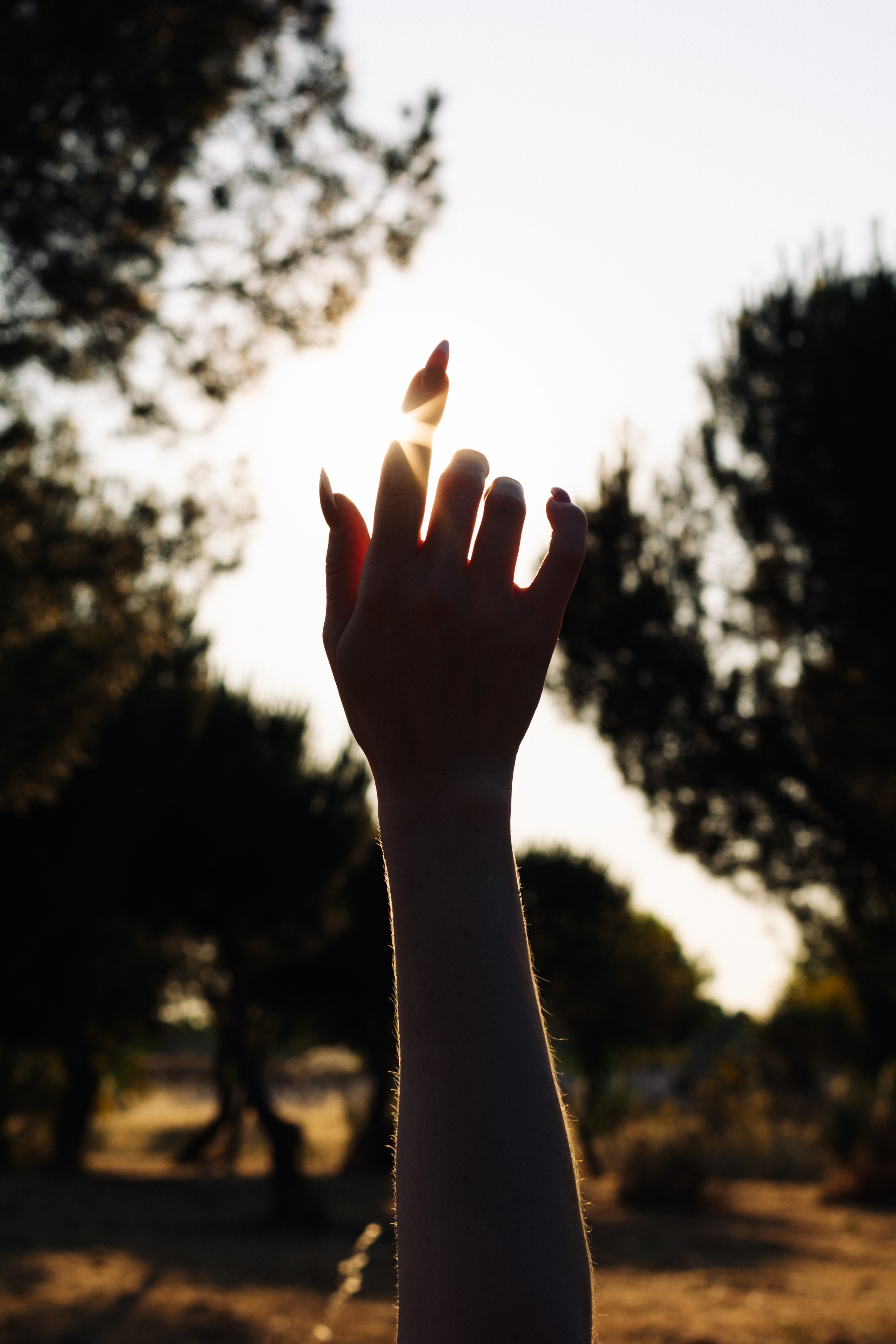 Anna. Shpanarskiy Nazar