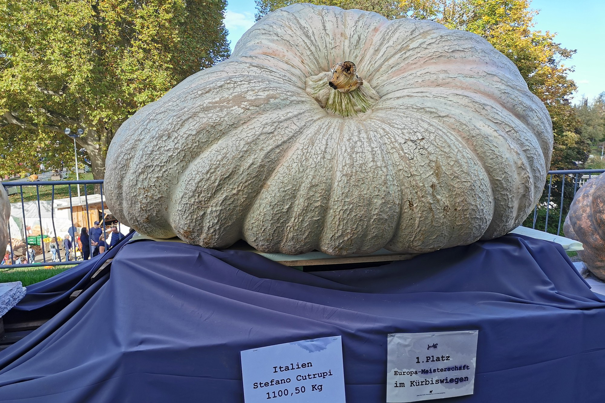 Фестиваль тыквы. Elina Reisen. Туристическое агентство в Аугсбурге
