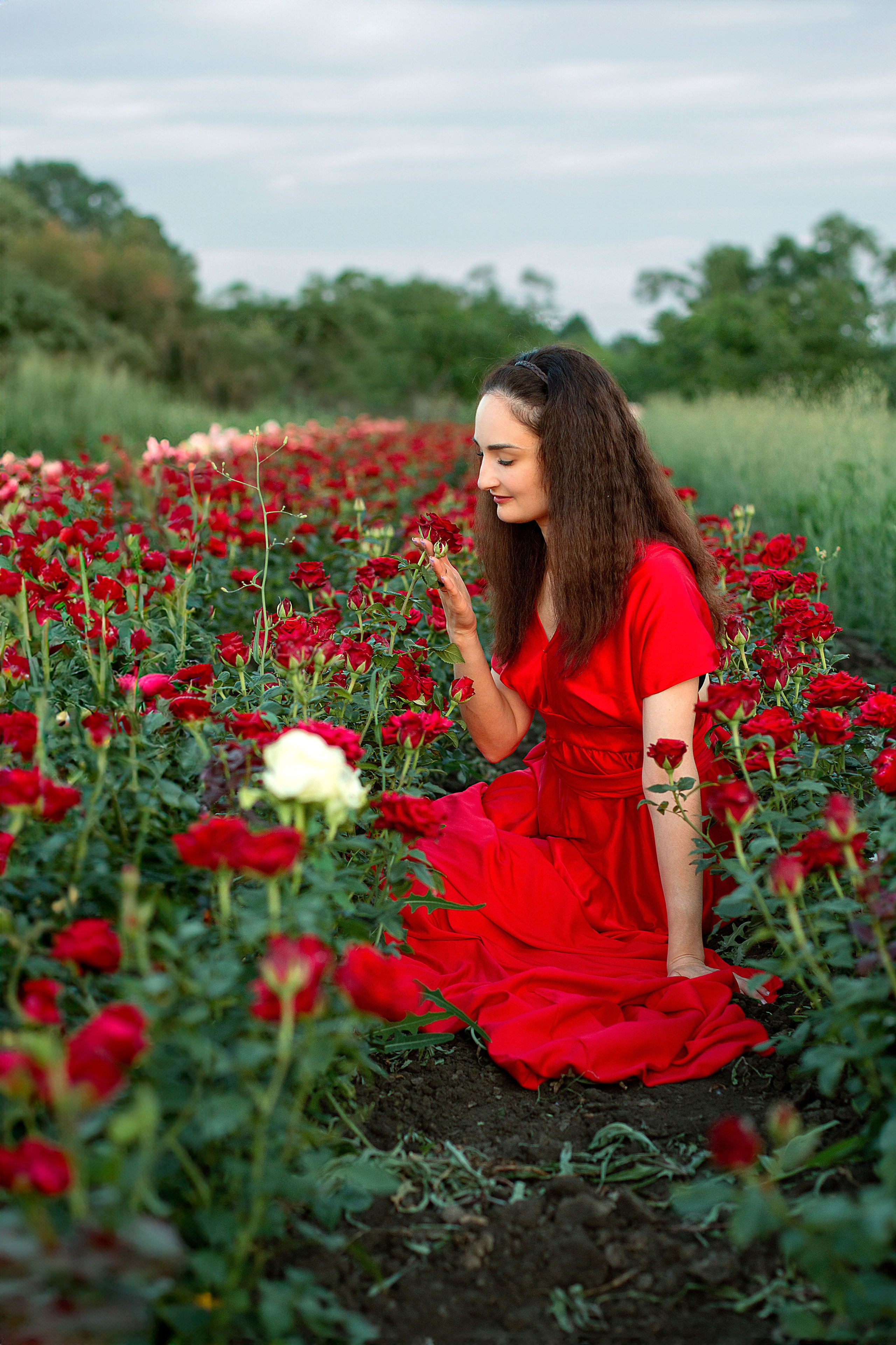 Розы. Детский и семейный фотограф в г. Бельцы