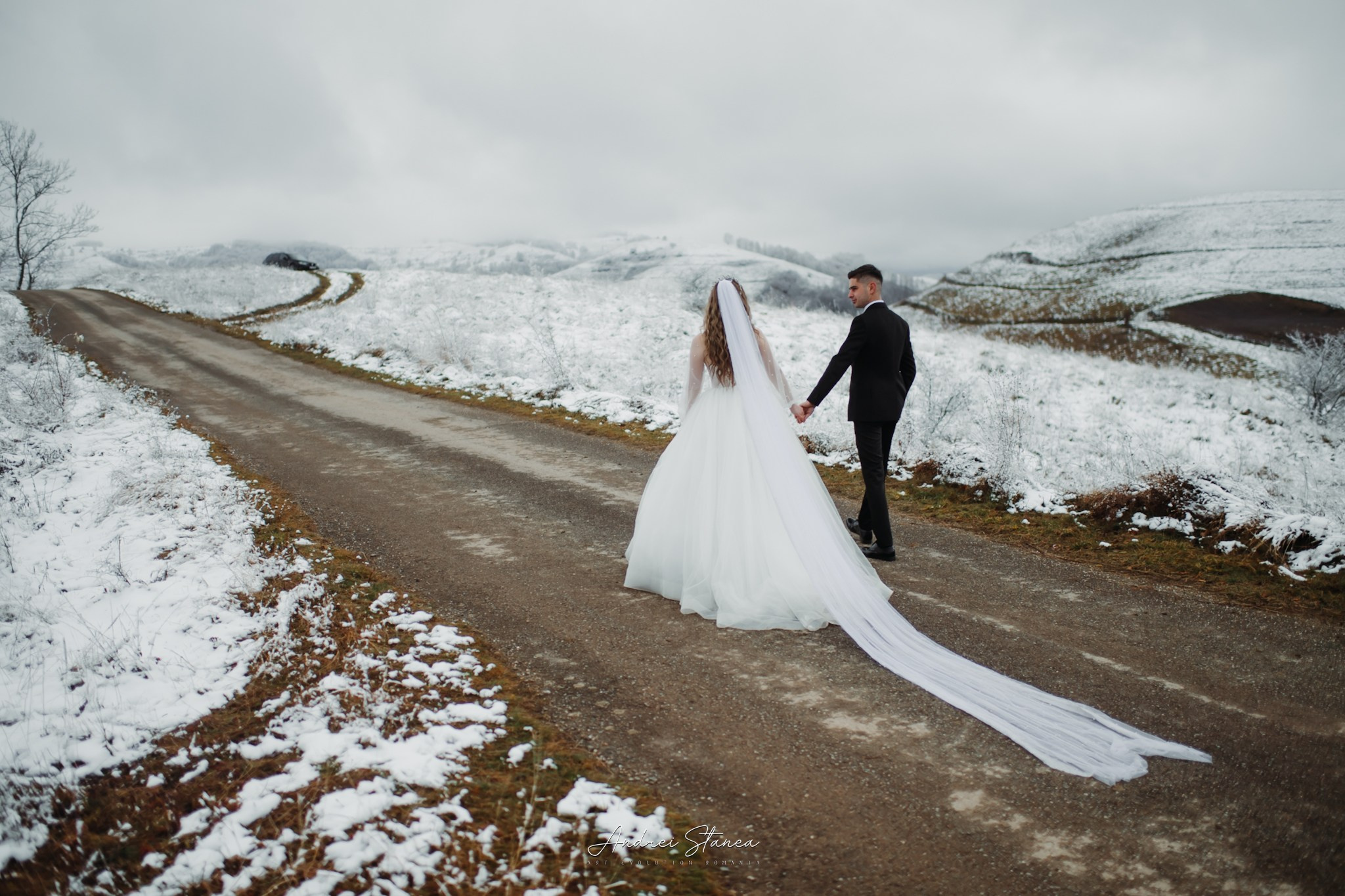 Dan & Daniela. Andrei Stanea