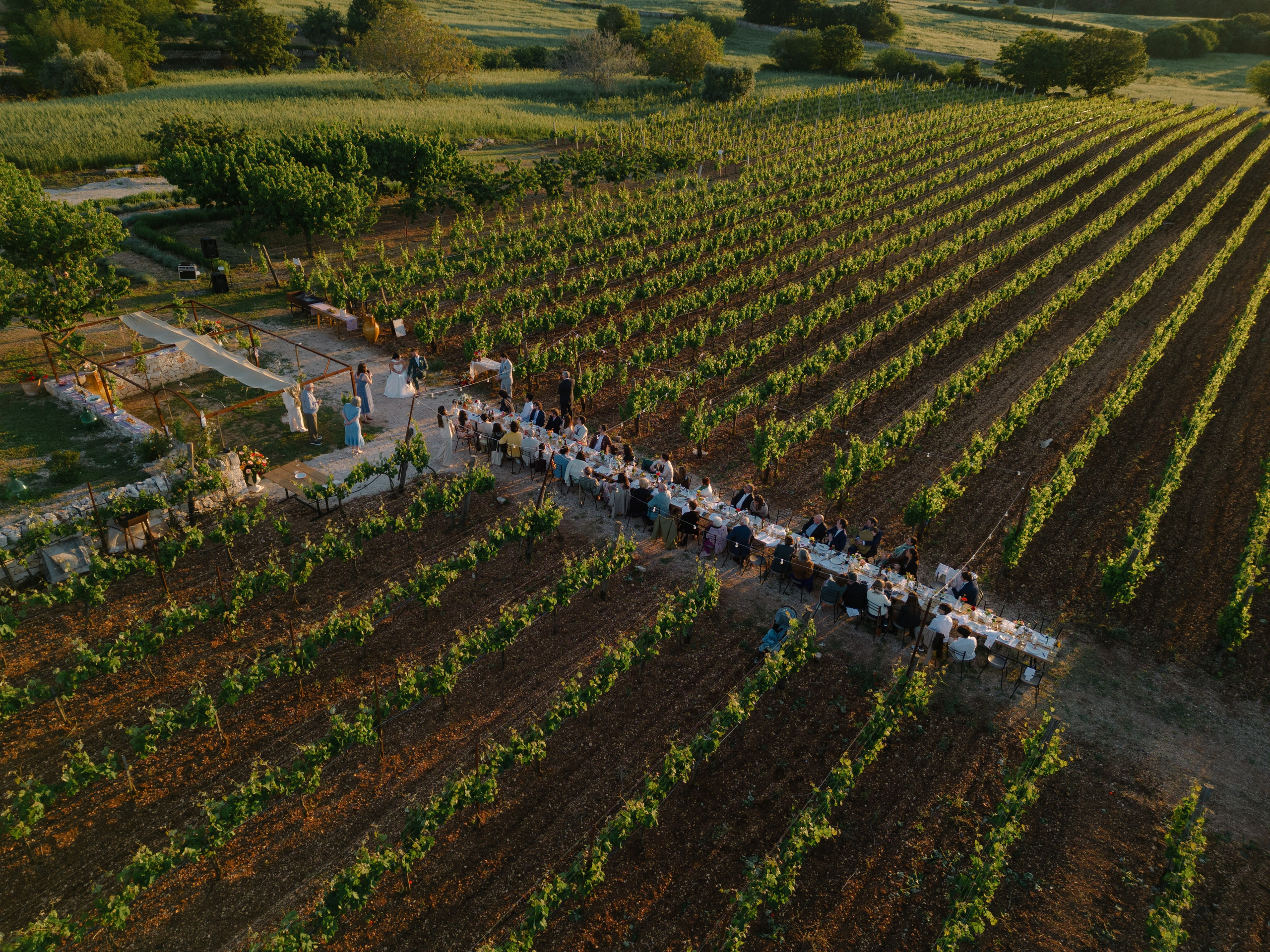 2. Весільний фотограф Вікторія Саврук