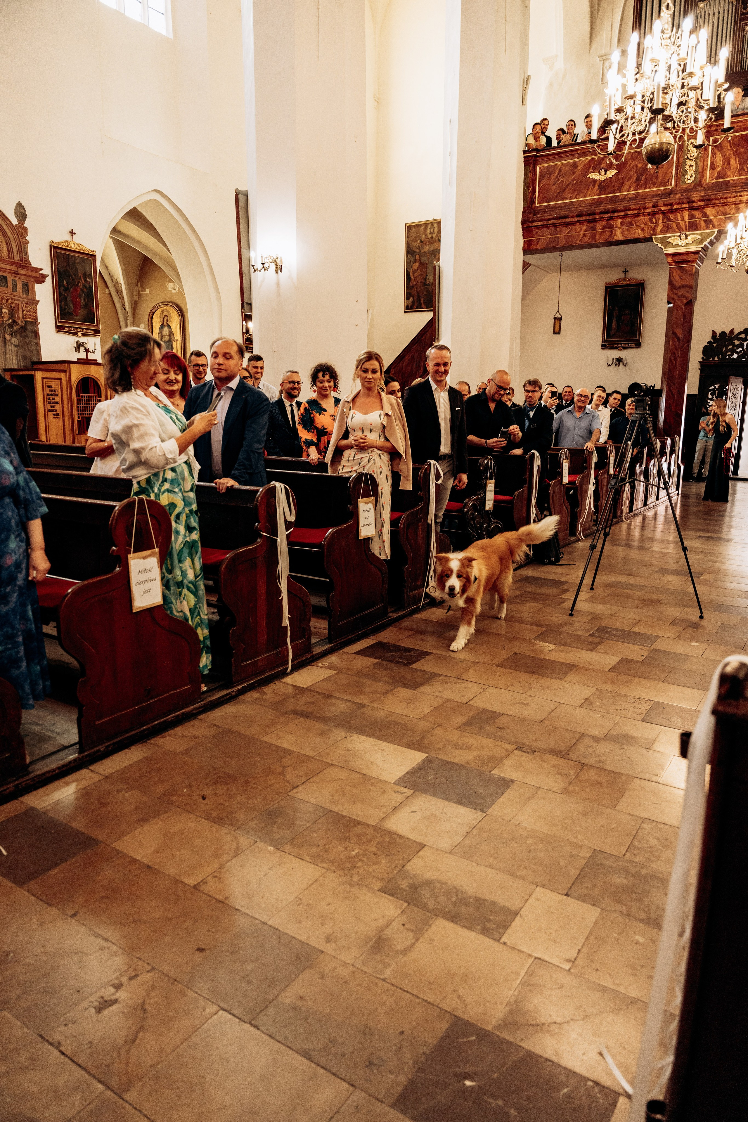 D&P. SL Wedding Photo: ponadczasowa 💍 fotografia ślubna | Wrocław & Europa