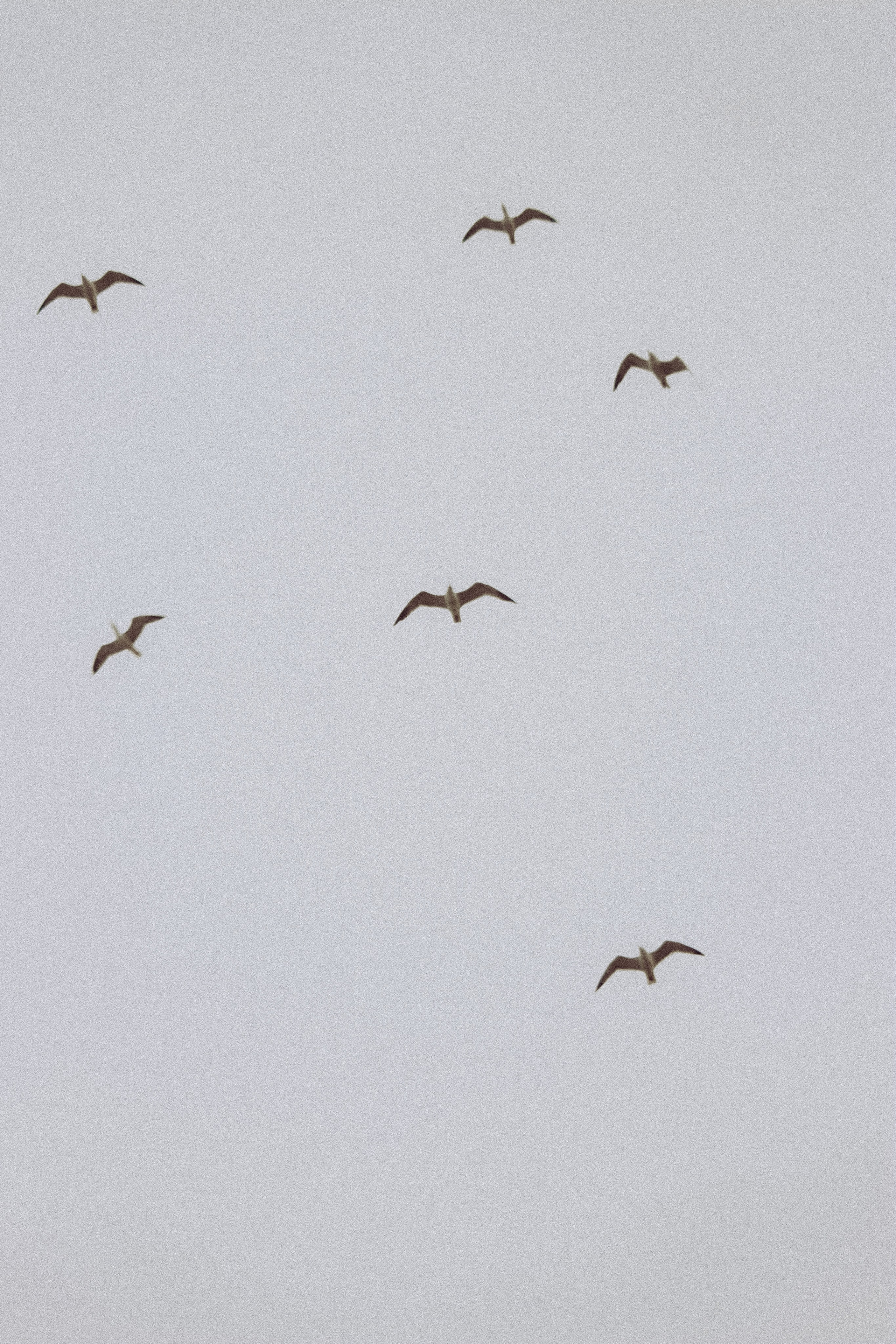 La Coudoulière, Saint Mandrier. Photographe à la Seyne sur Mer, Var