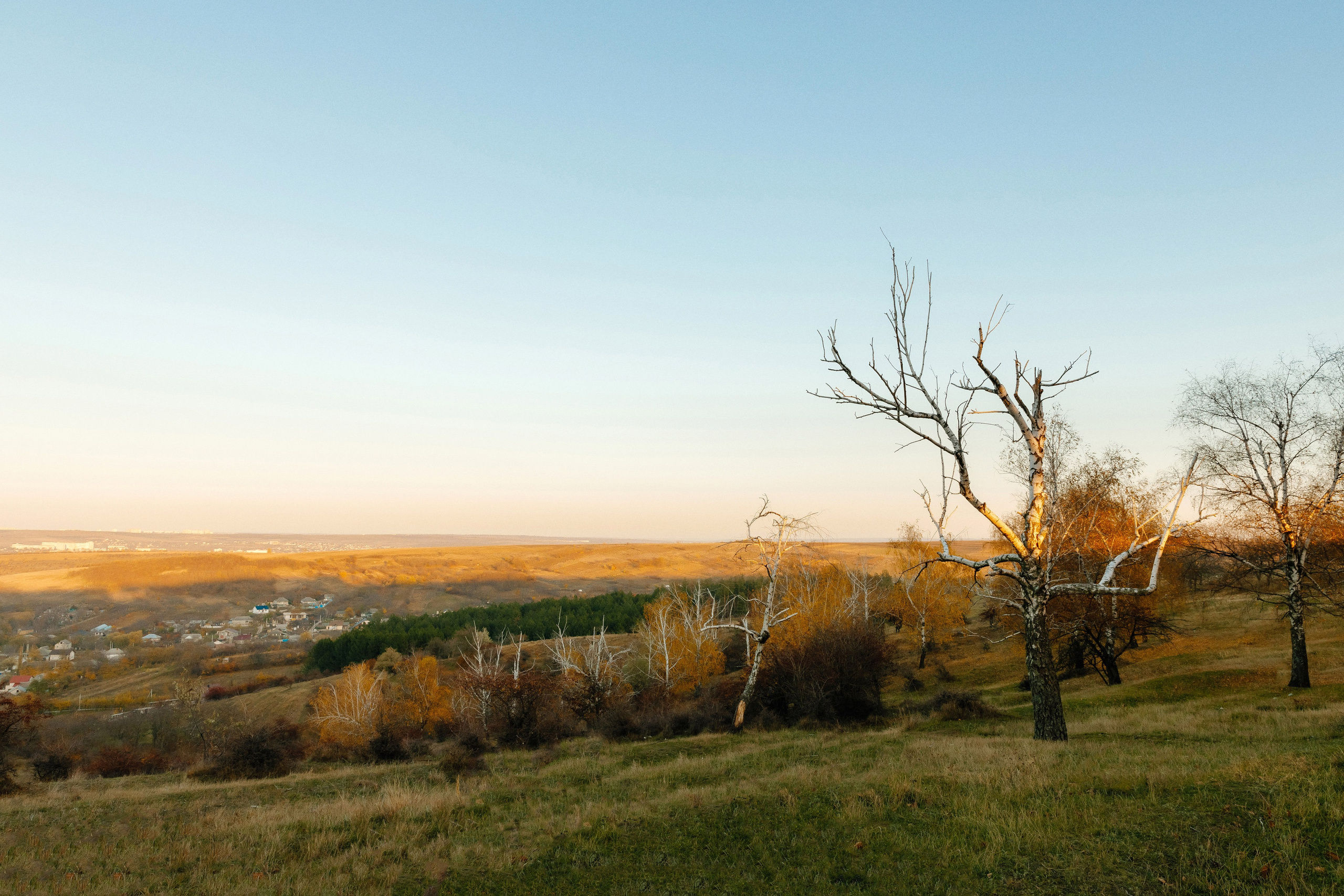 MIHAELA + ANDREI. Fulga Photographer