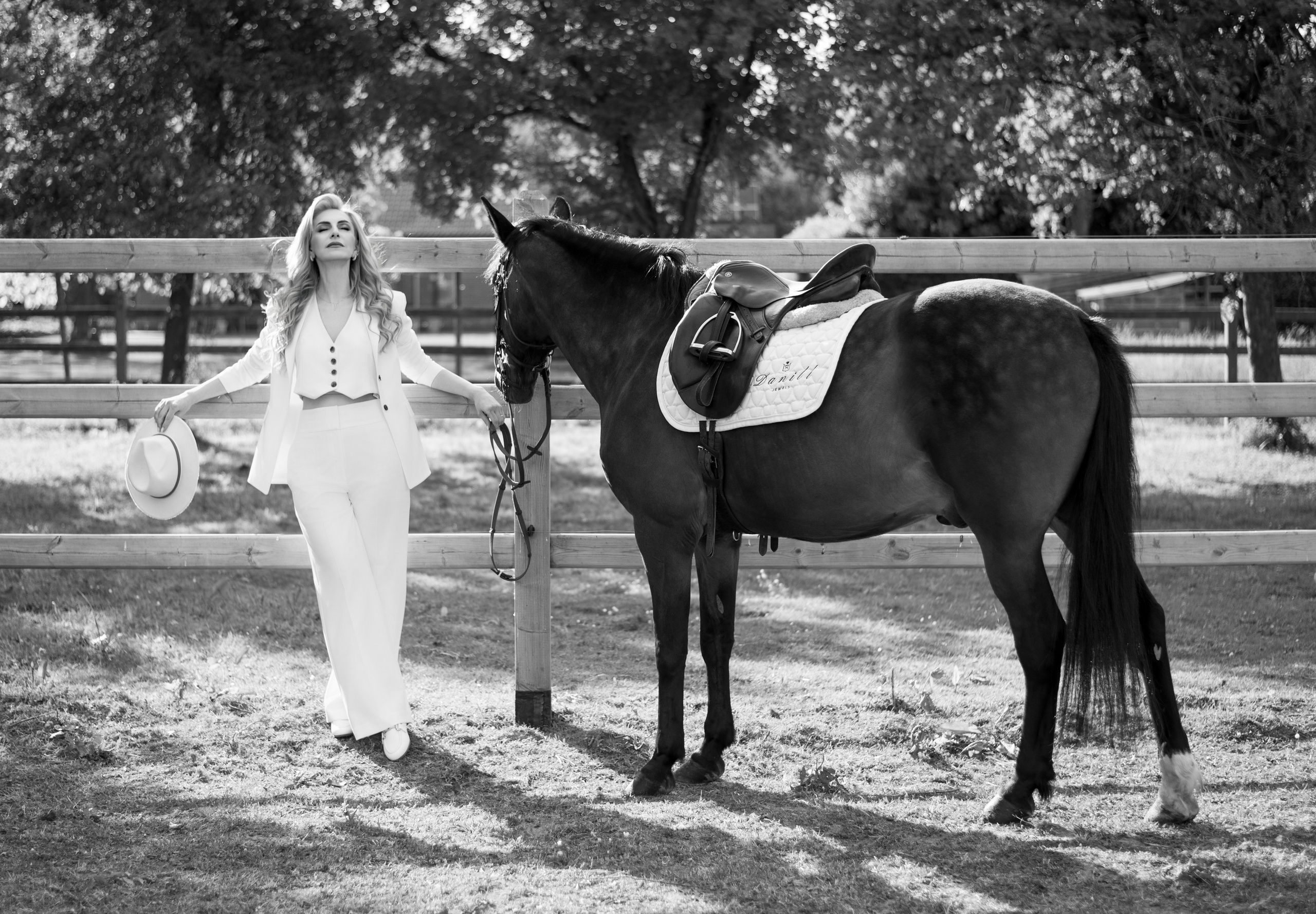 Photoshoot with Horses. Professional Photograher, Antwerpen/Belgium