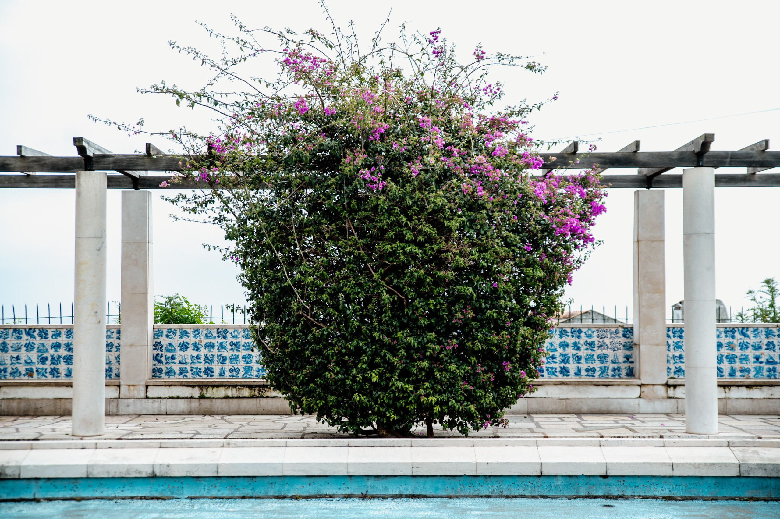 Portugal. Bojana Žuža fotograf u Beogradu 📷 Belgrade photographer