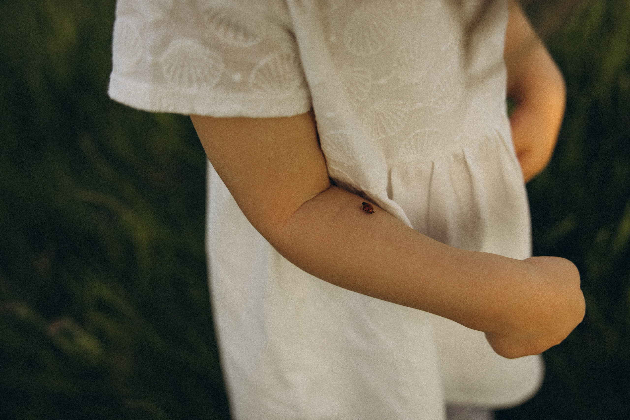 Familienshooting bei Sonnenuntergang. Familien & Hochzeitfotografin Nadja Holzmann